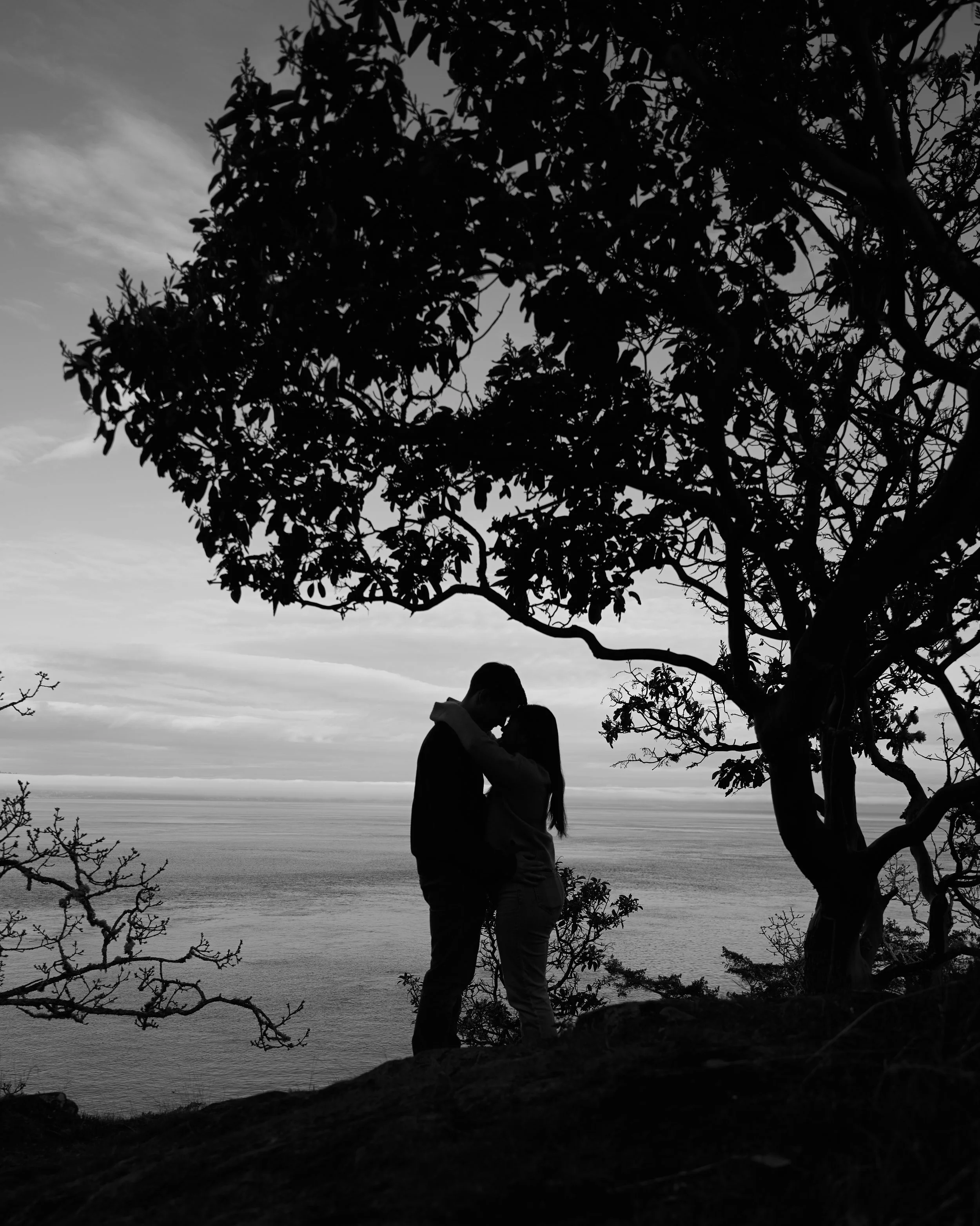 Silhouette of a couple embracing under a tree near a body of water.
