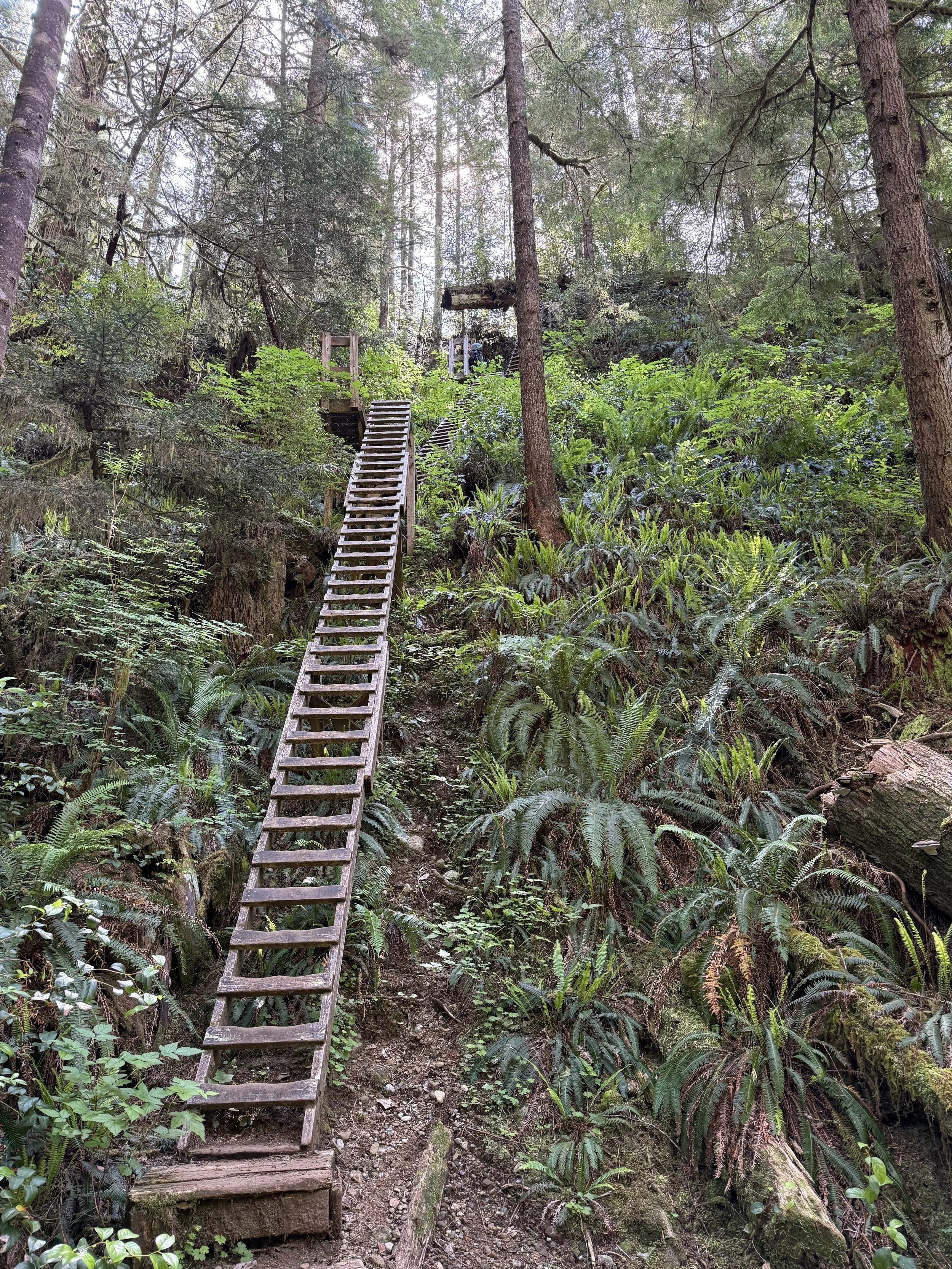 west-coast-trail-crab-shack-nitinat-narrows-lunch.jpg