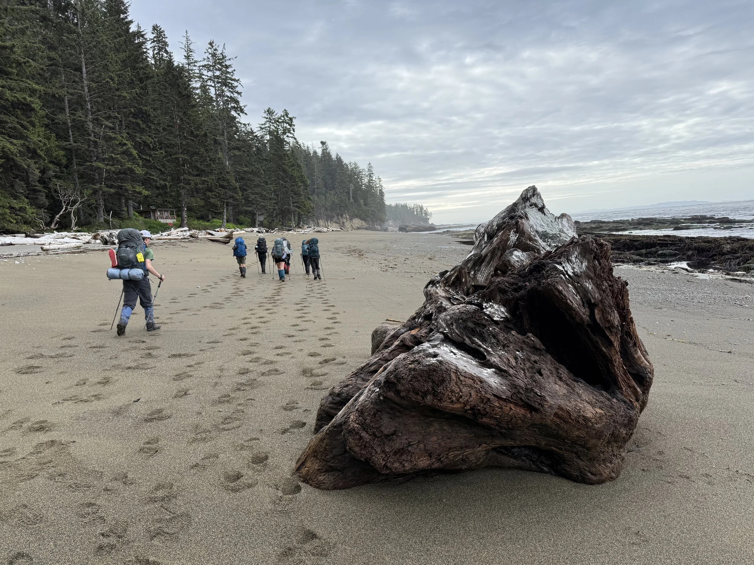 west-coast-trail-niton-falls-wilderness.jpg