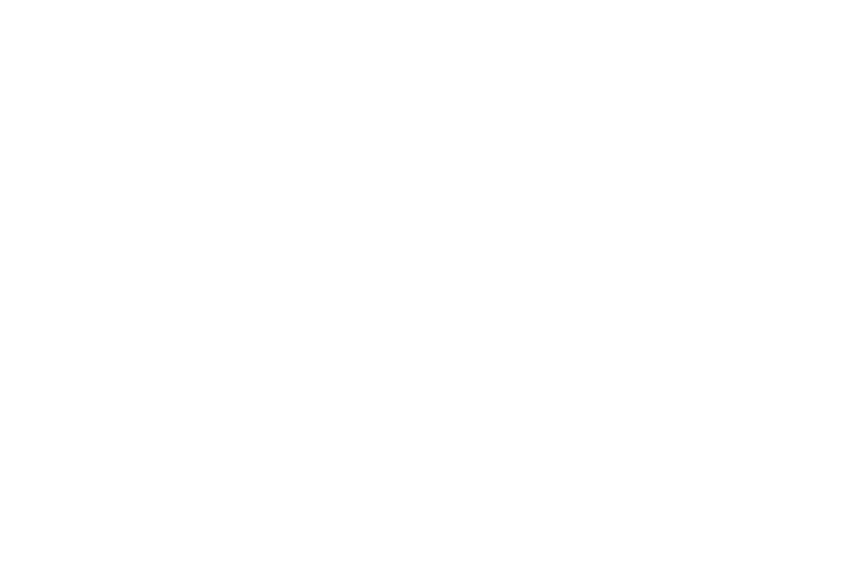 OFFICIAL SELECTION - Fayetteville Film Fest - 2025.png