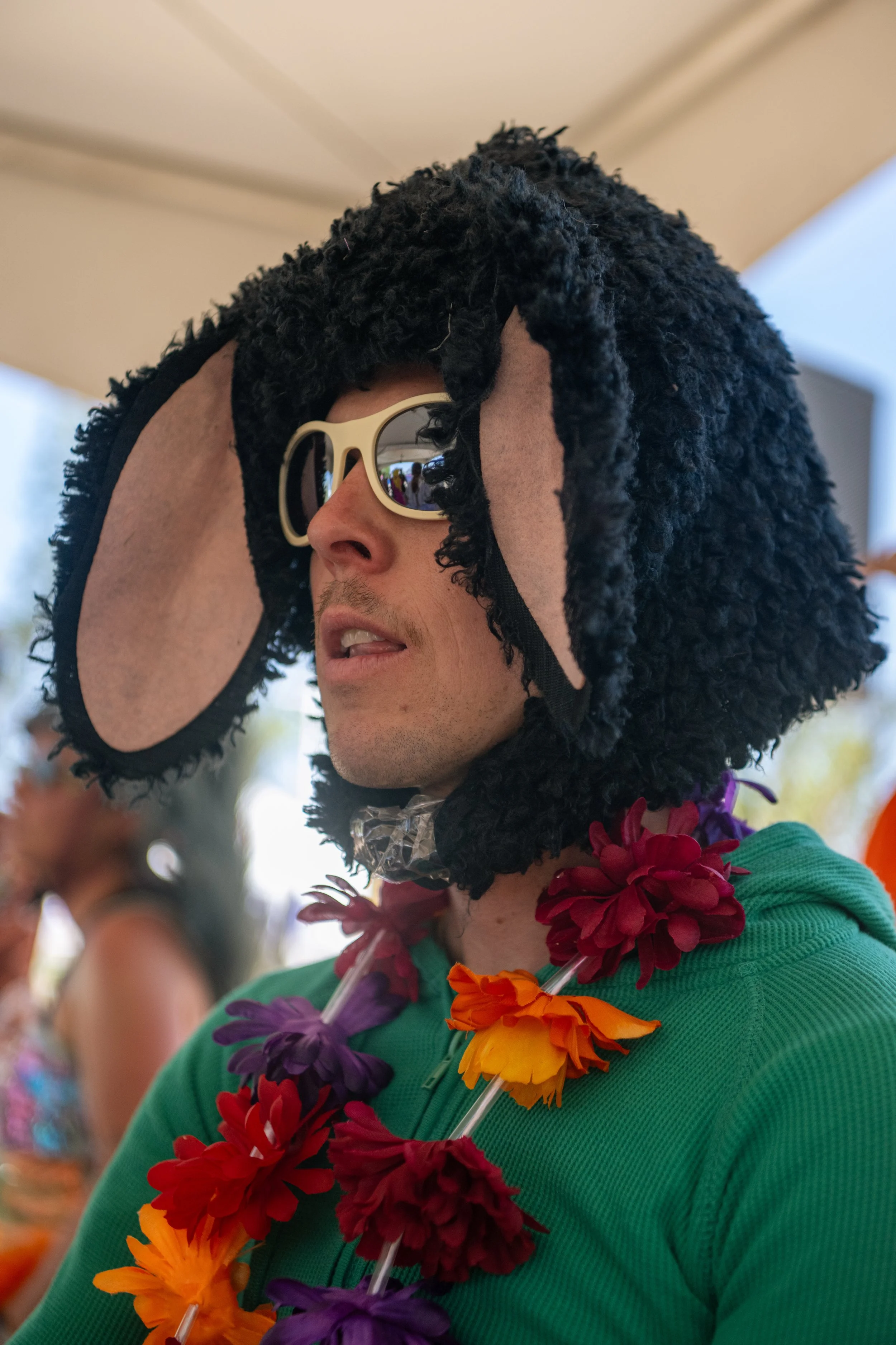 DSC_2286.jpeg