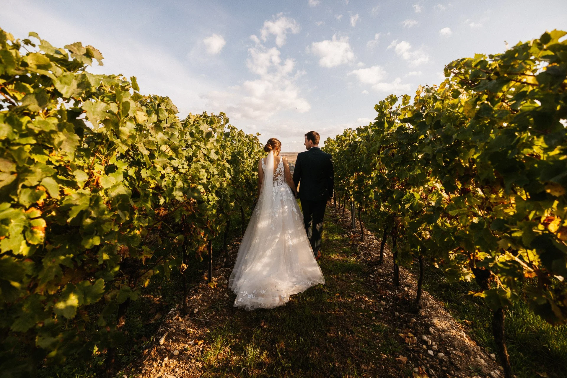 Brautpaar geht Hand in Hand durch einen Weinberg während eines Paarshootings am Hochzeitstag.