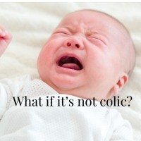 Two months of colic. Endless pacifiers. A mama who knew something was off even though she couldn't put her finger on it.
One chiropractor. One pediatric dentist. One posterior tongue tie that didn't even have the classic symptoms nobody tells you to 