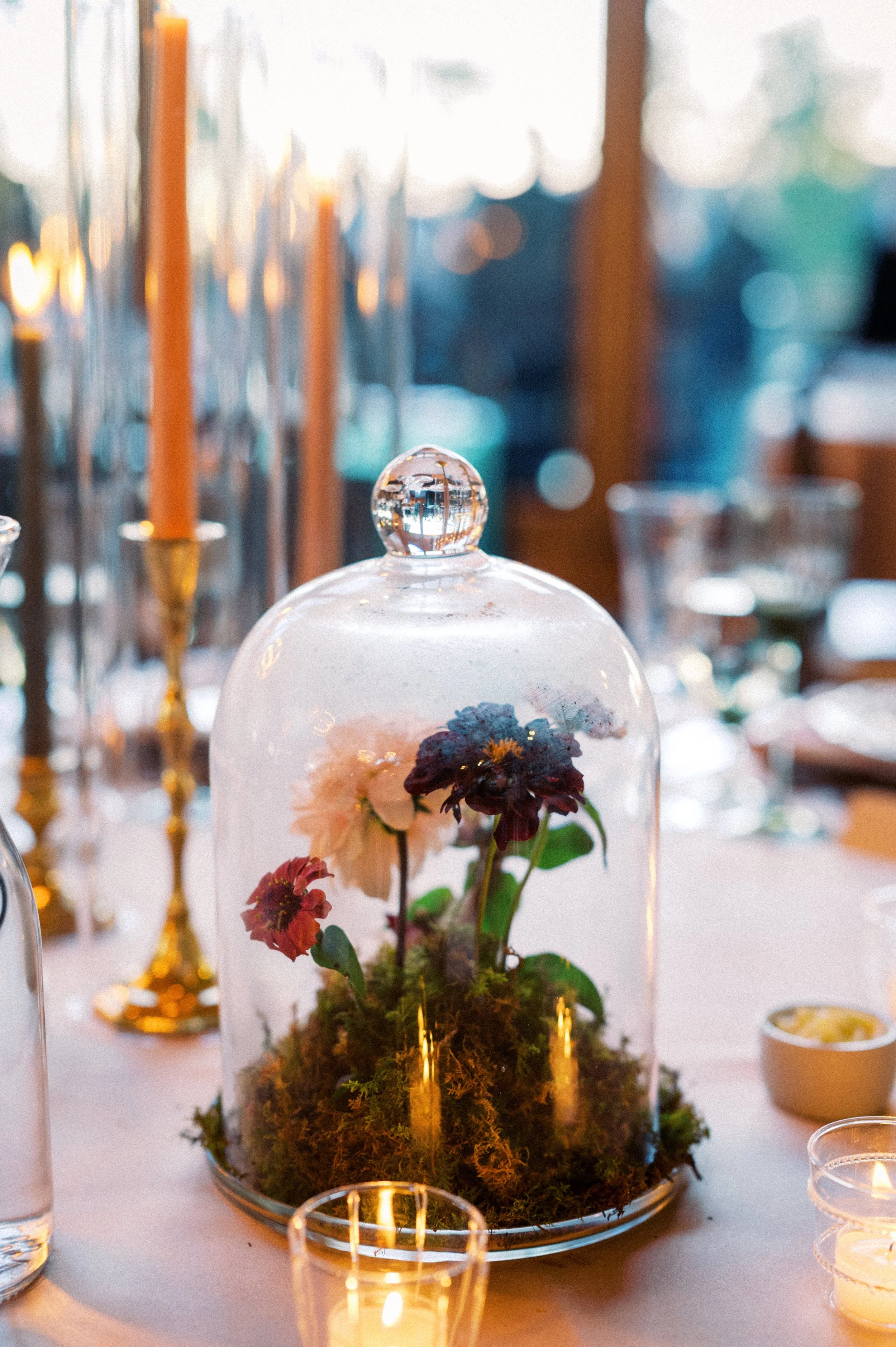 Joyce_Reception_19.jpg