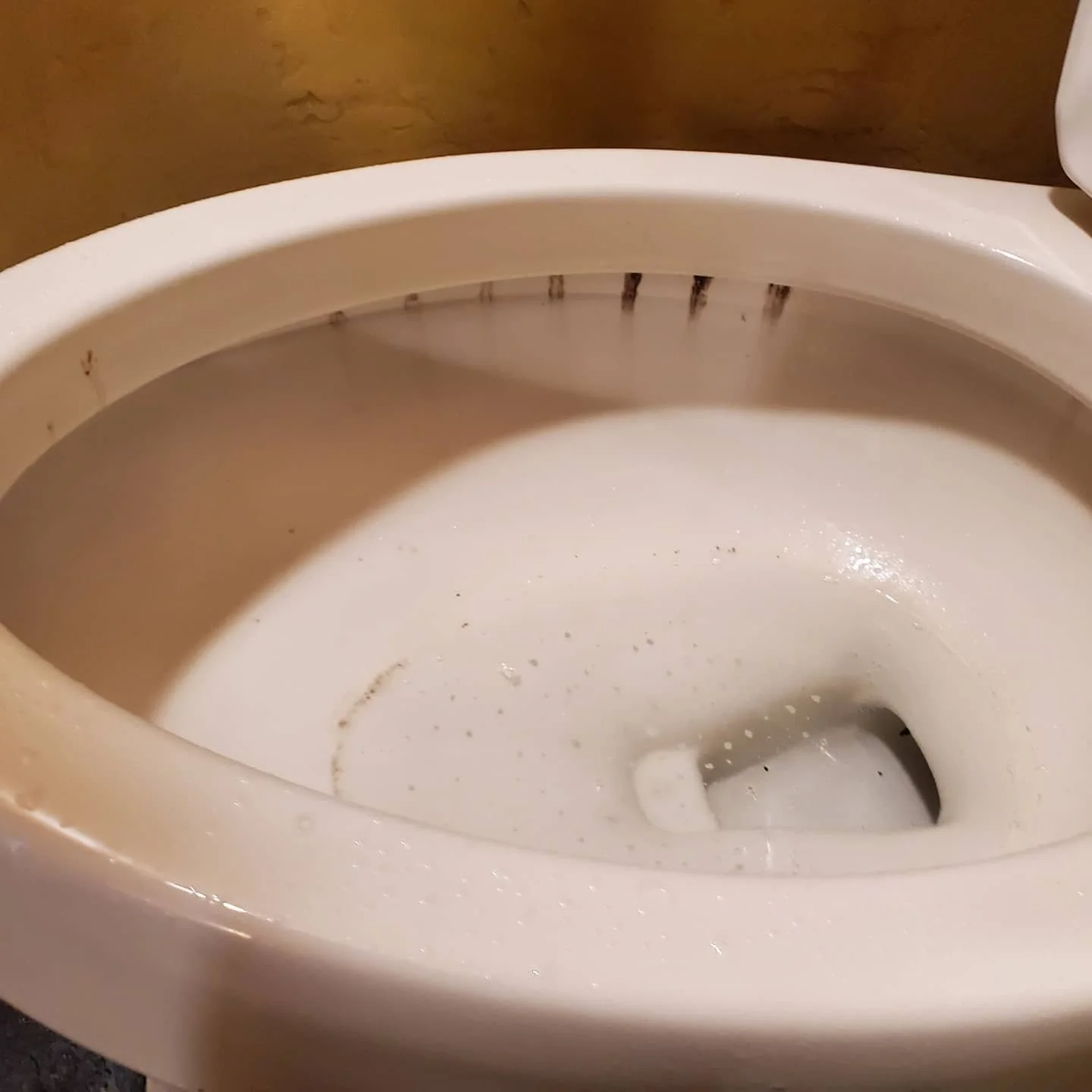 A close-up view of a toilet bowl with stains and hardwater residue.