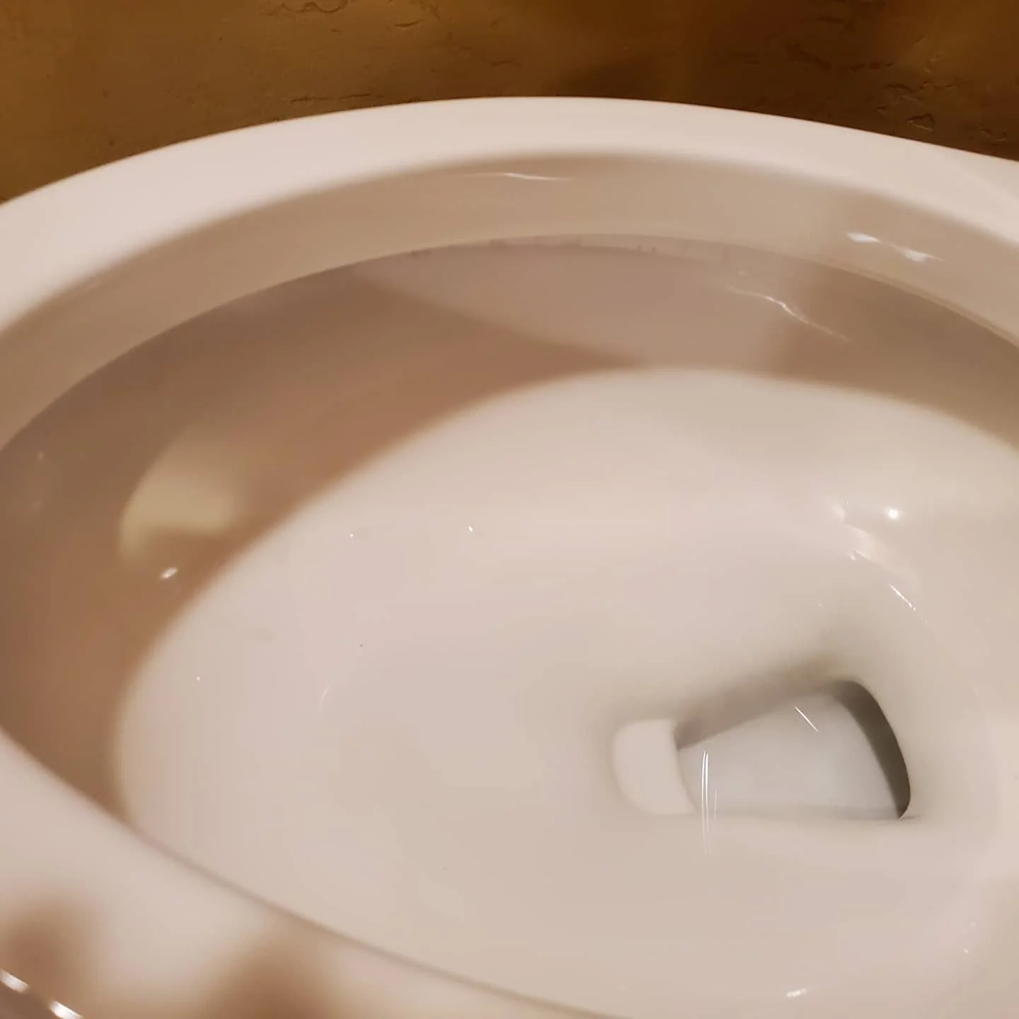 A close-up of a toilet that had hardwater stains removed.