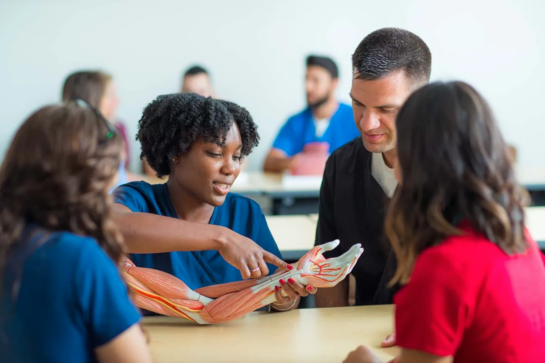 A woman in blue scrubs demonstrating the muscles of a human arm with a detailed anatomical model to a group of students in a classroom.