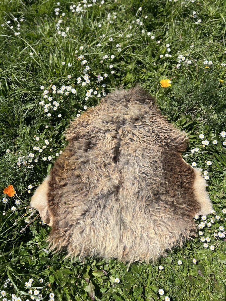 ARWEN