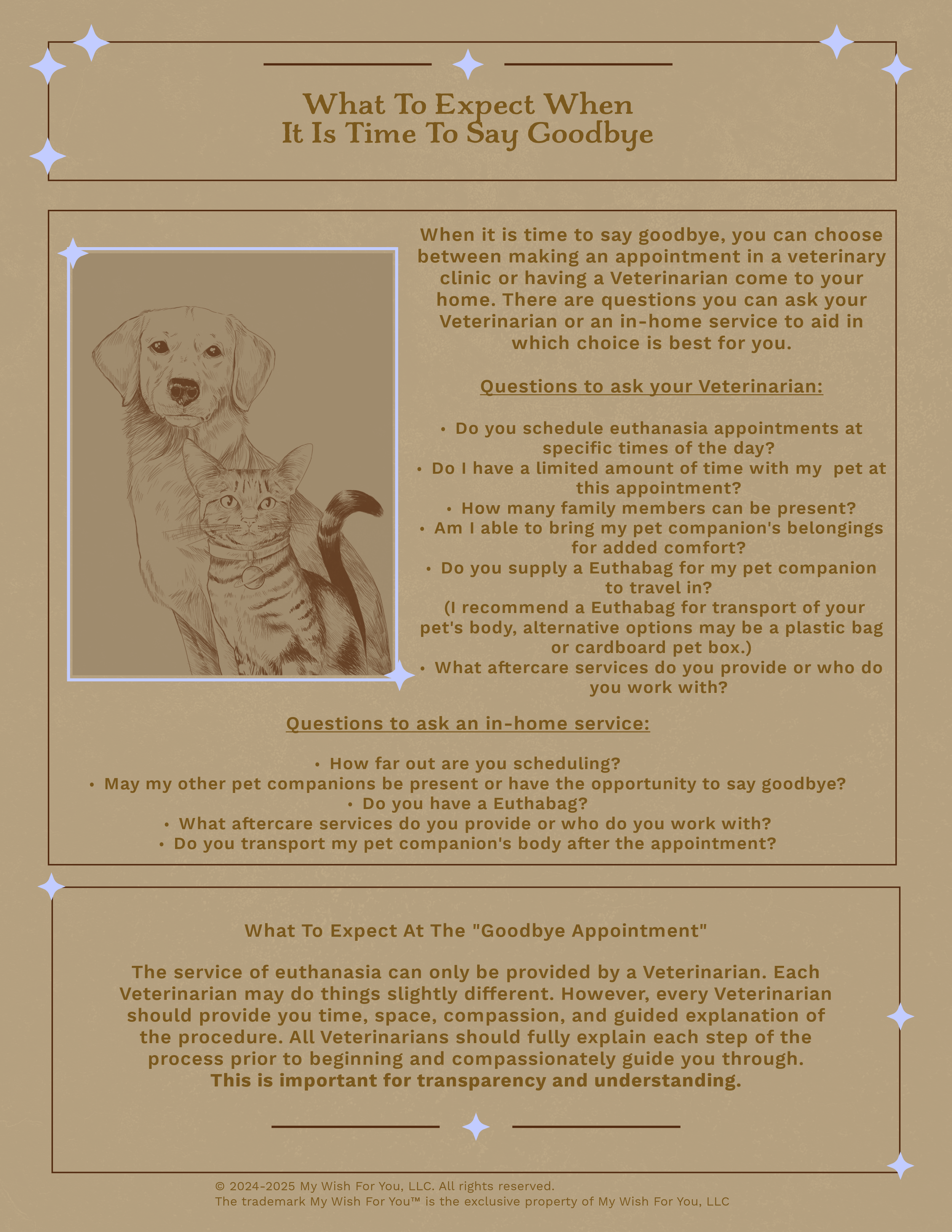 What To Expect Updated-1.png