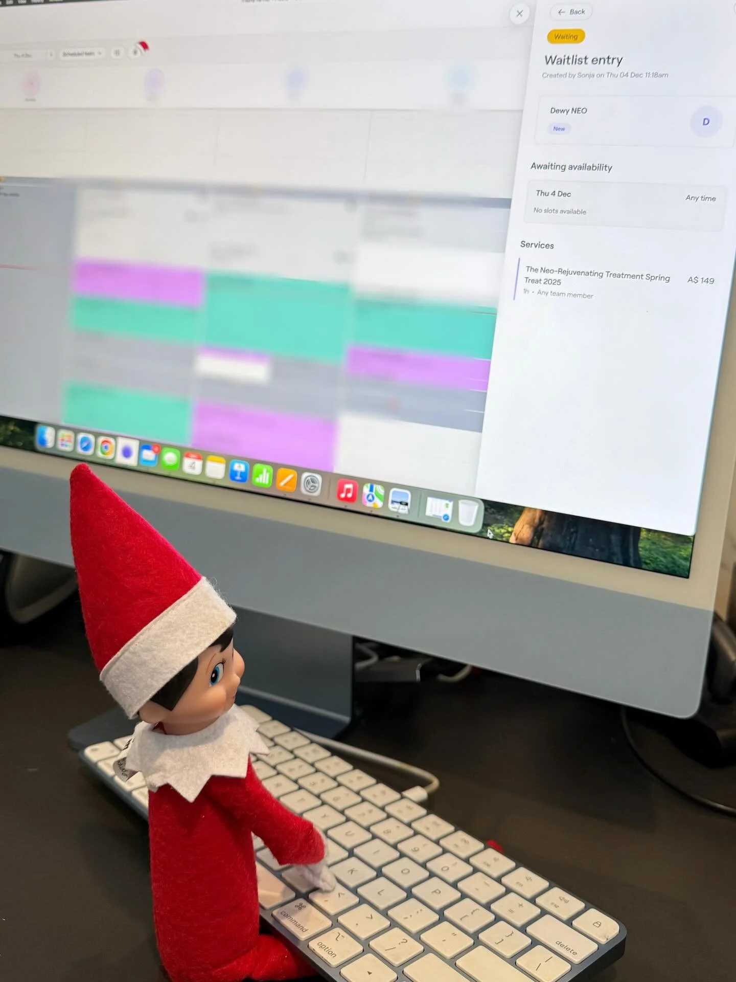 Dewy Neo, our Utopia Elf, popped back in today for his final pre-Christmas touch ups! He&rsquo;s reminding everyone that December spots are extremely limited. Only quick appointments are available. However schedules are always changing. People cancel