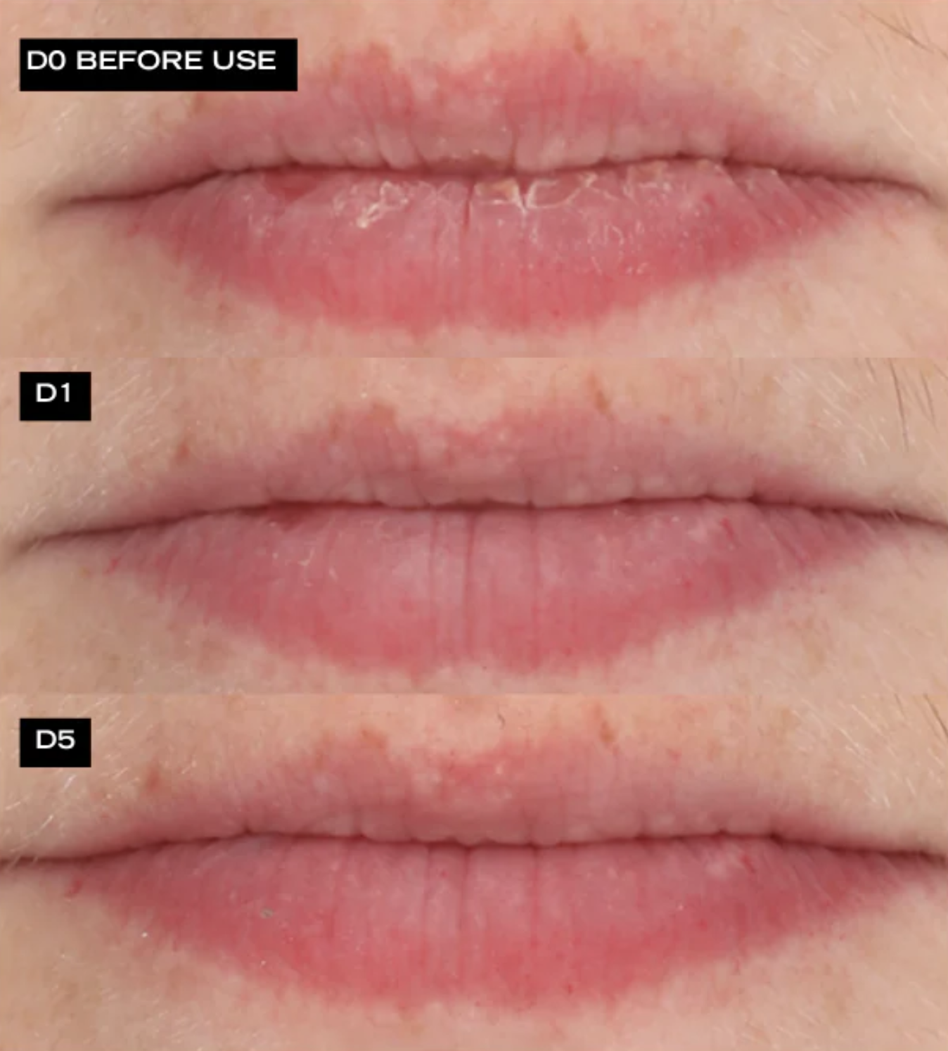 Screenshot 2026-03-16 at 12.33.14 pm.png