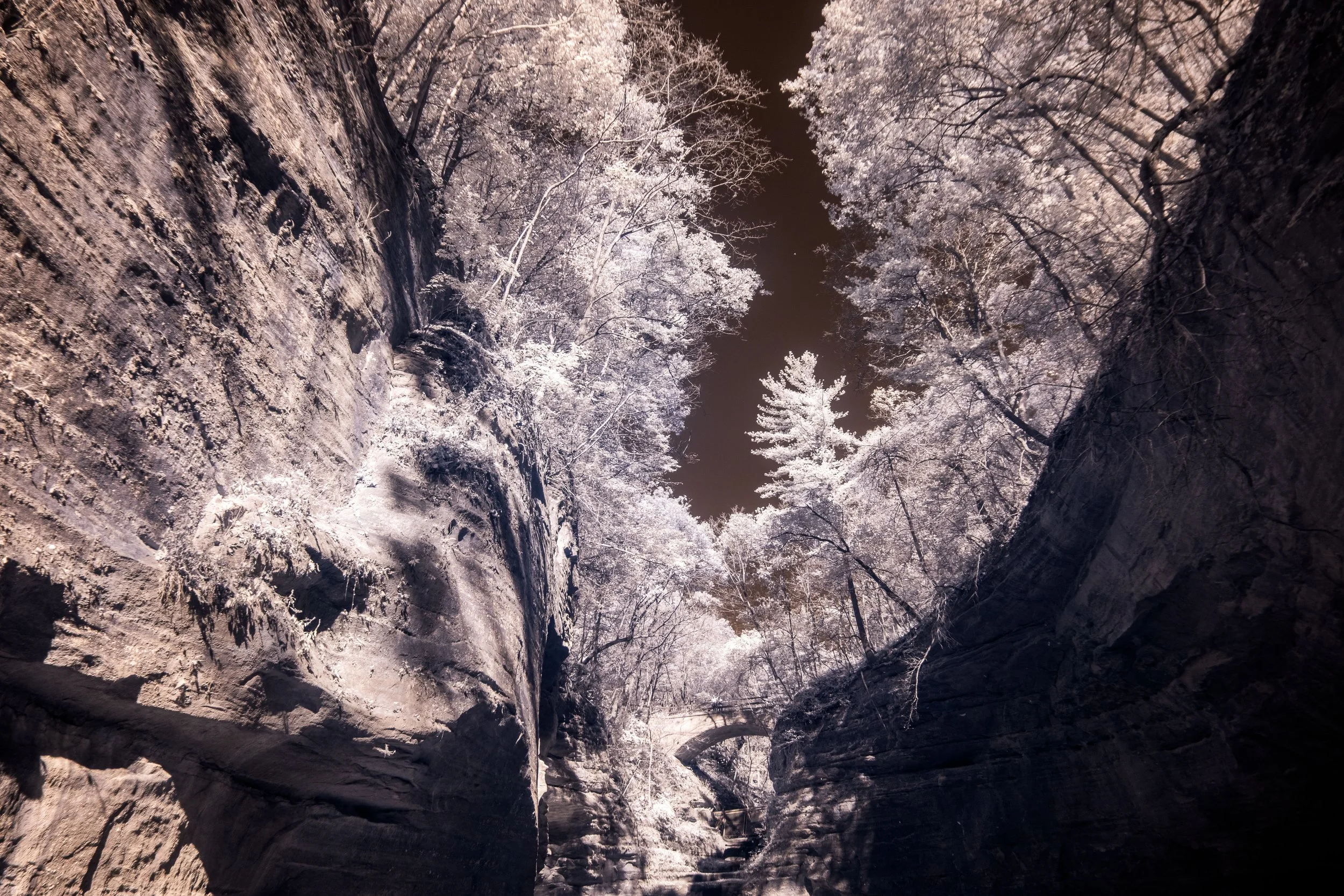 canyon resized.jpg