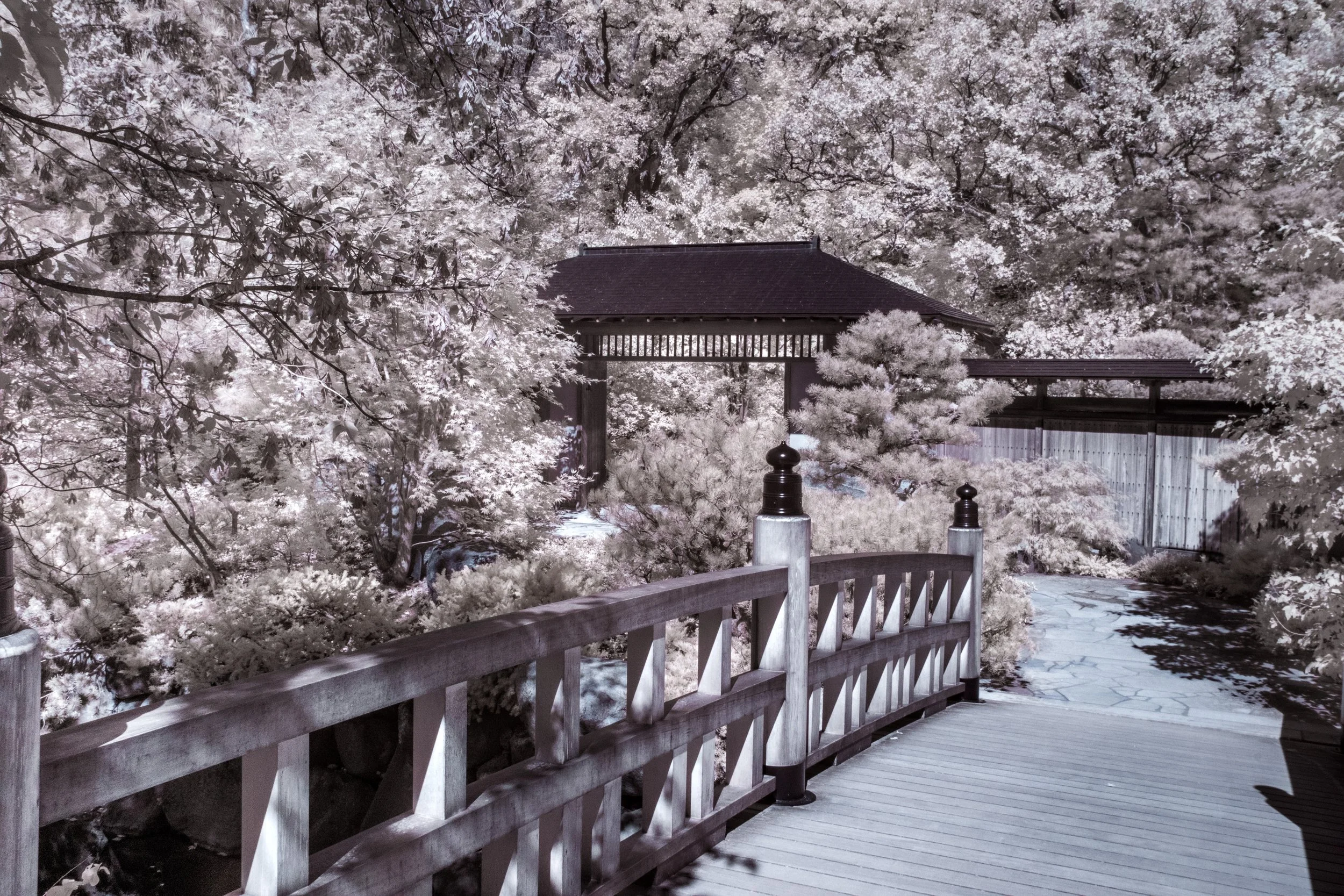 DSCF4131-Edit copy.jpg