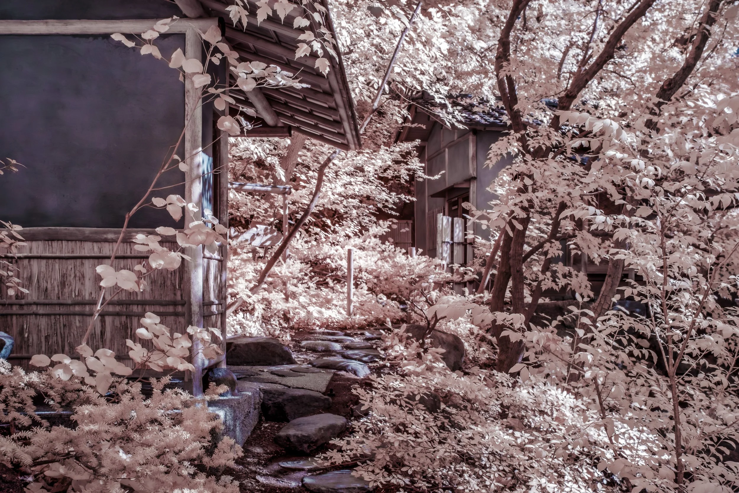 Pathway geometry fix.jpg