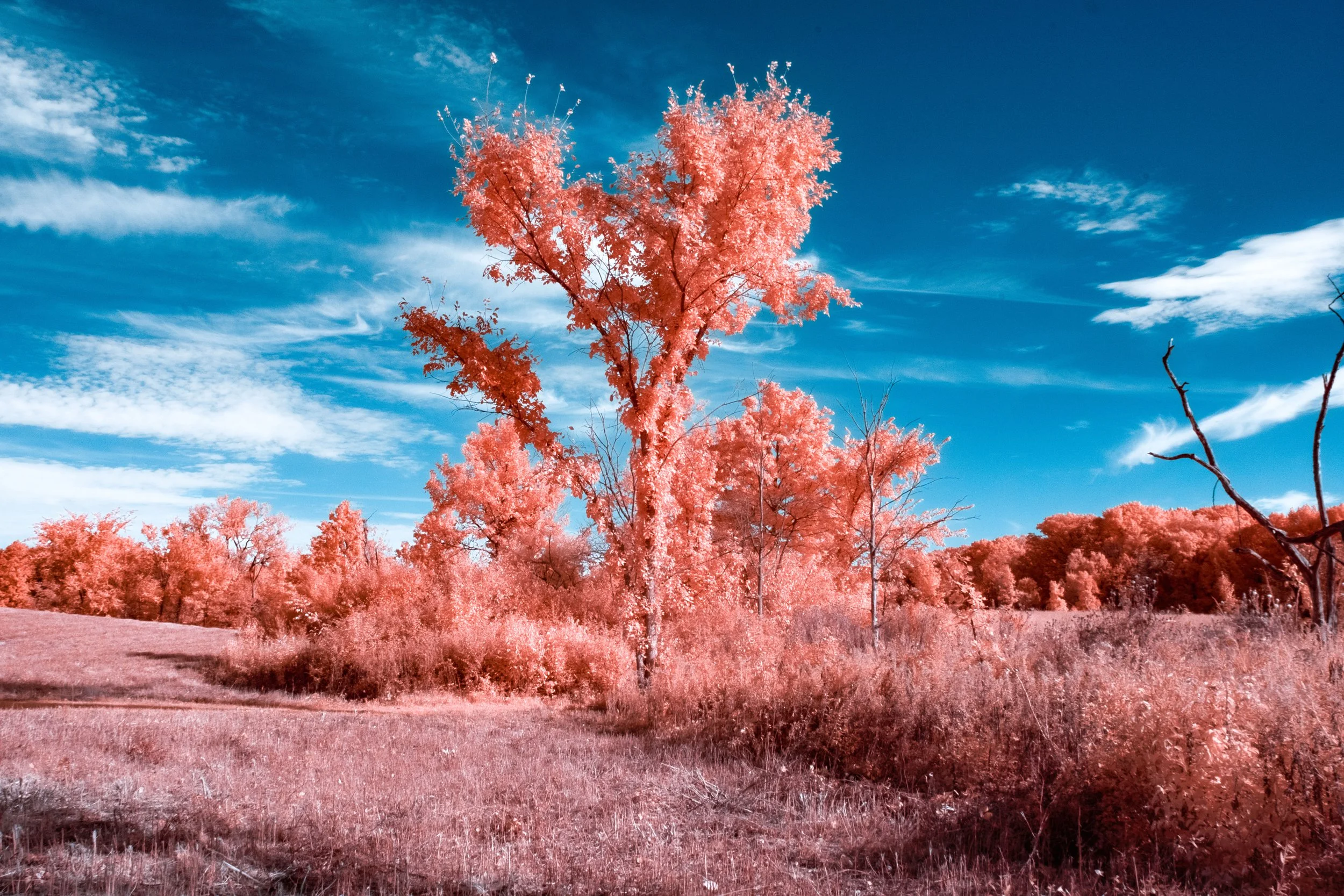 resized hickory creek.jpg