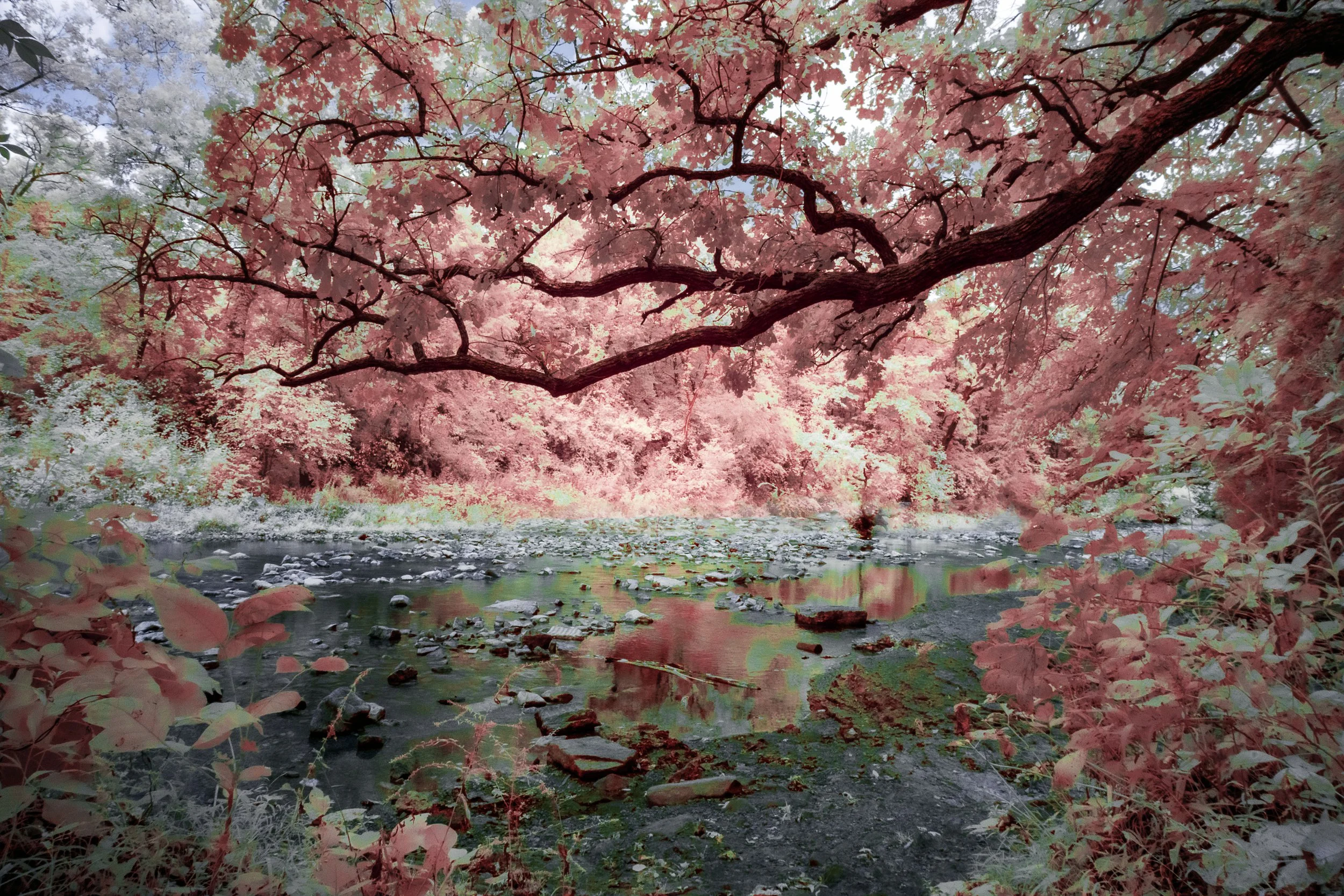 DSCF3352-Edit copy.JPG