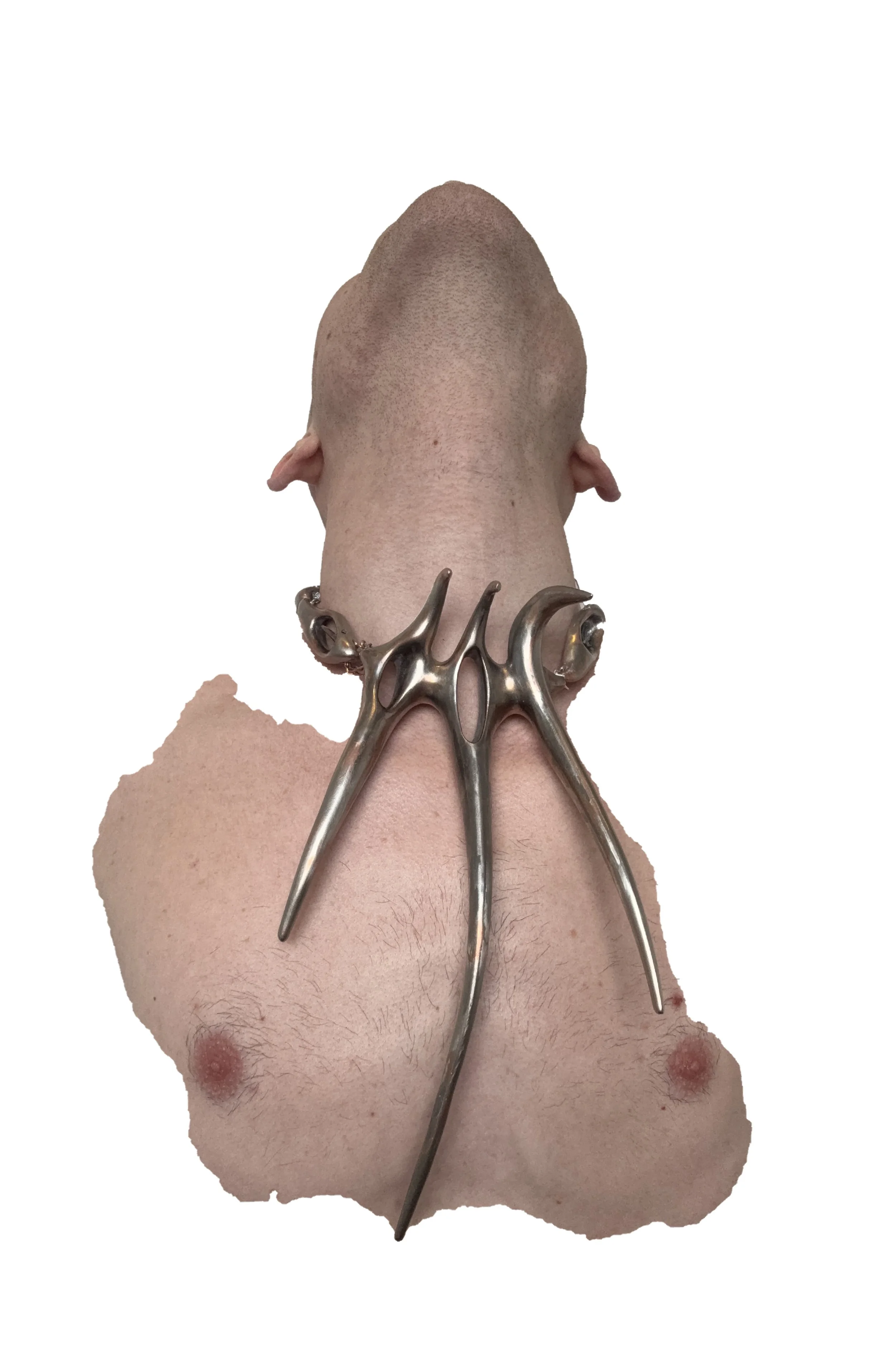 TORTURE TITANIUM