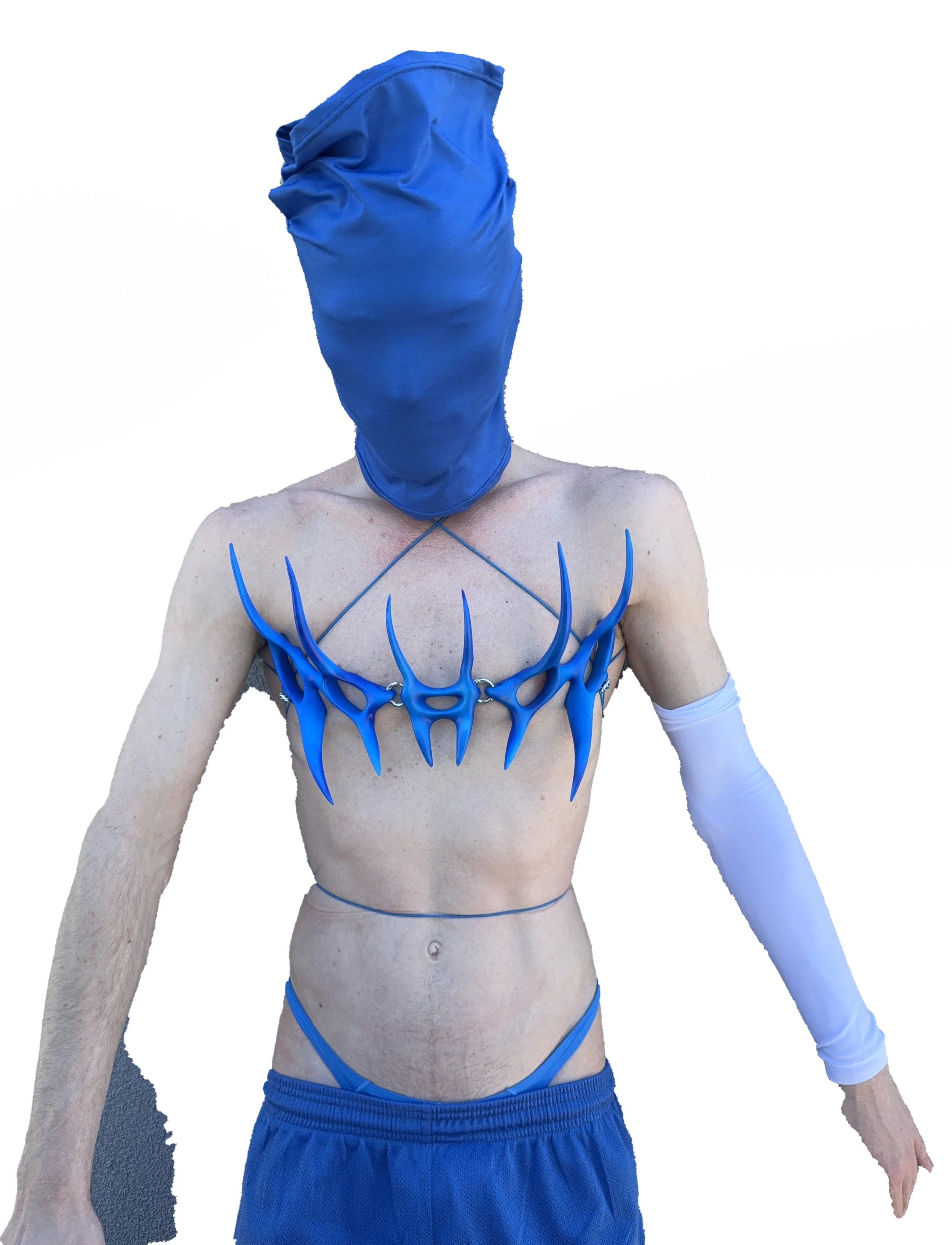 BELT - [ indiGO ]