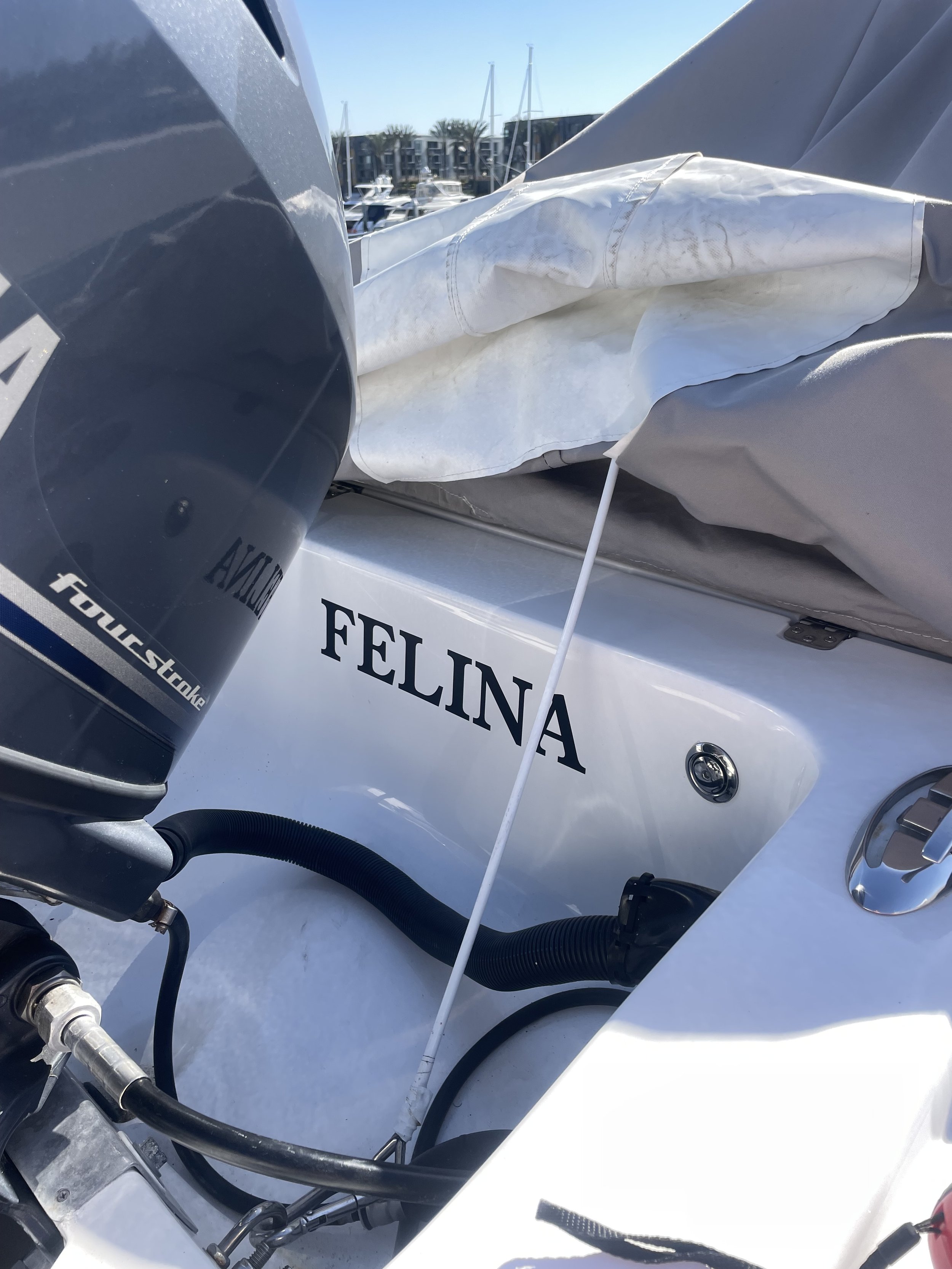 Close-up of a boat deck with a motor and cover, featuring "FELINA" painted on the side, with a marina in the background.
