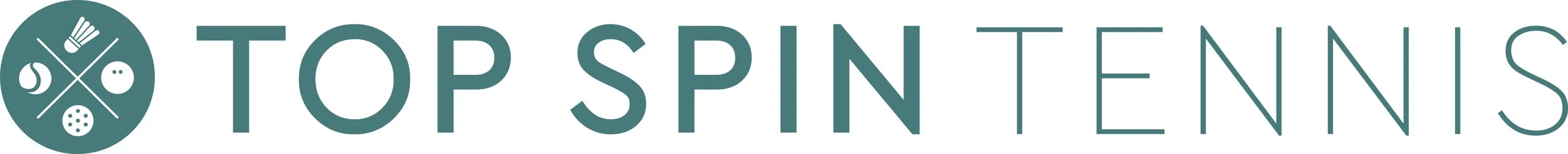 Top Spin Tennis logo