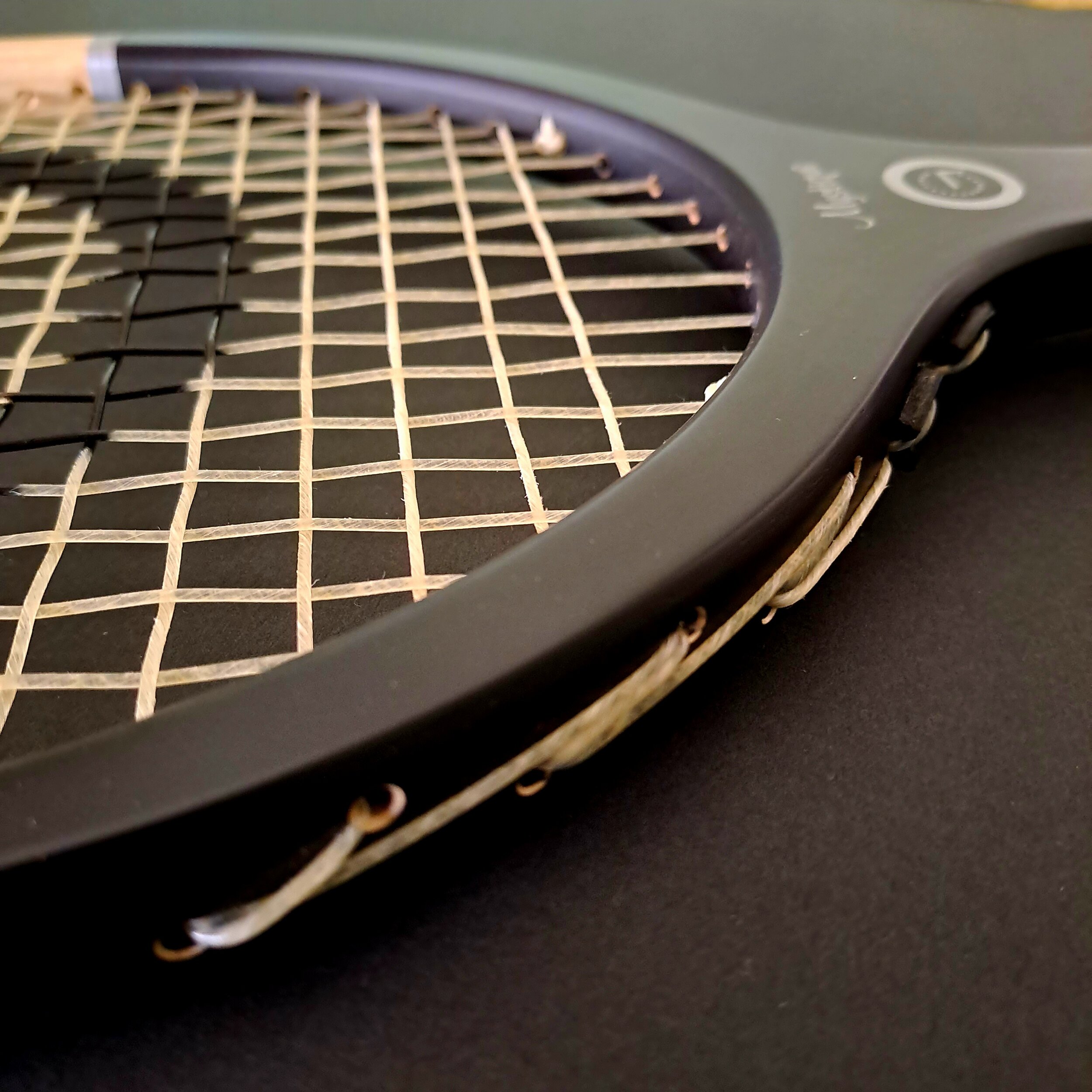 Close-up of Grays Mystique side of head showing stringing.