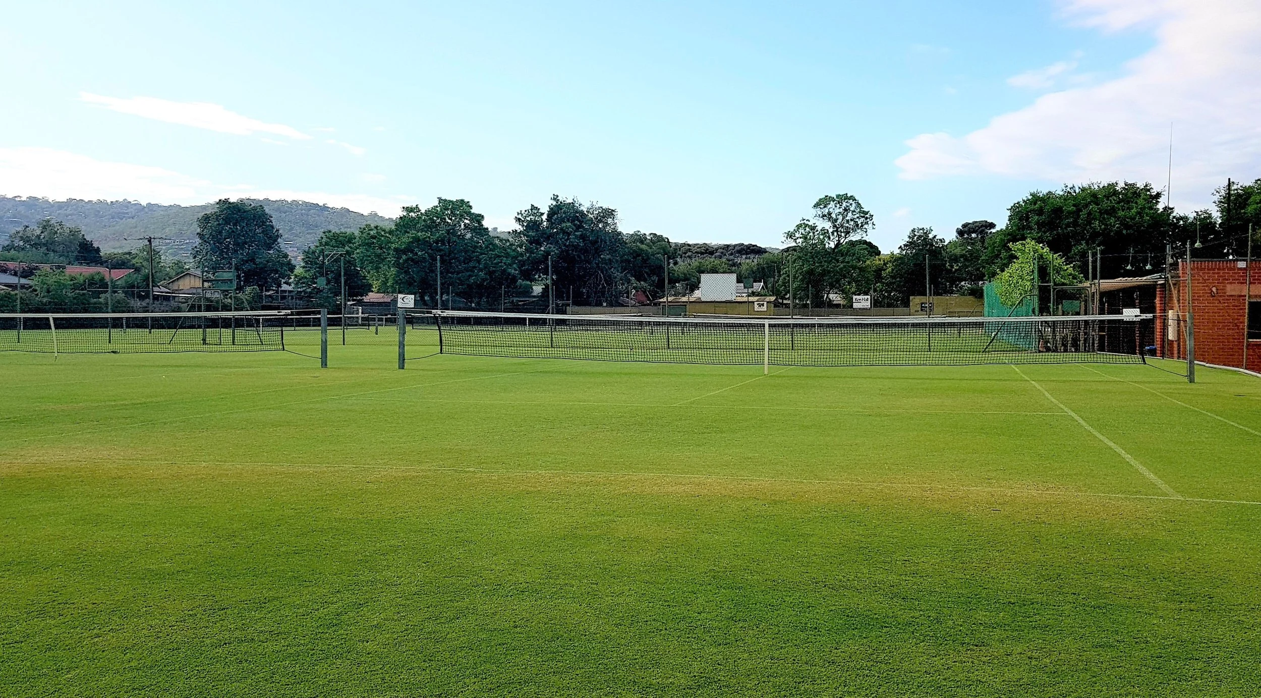 A local tennis club with grass courts.