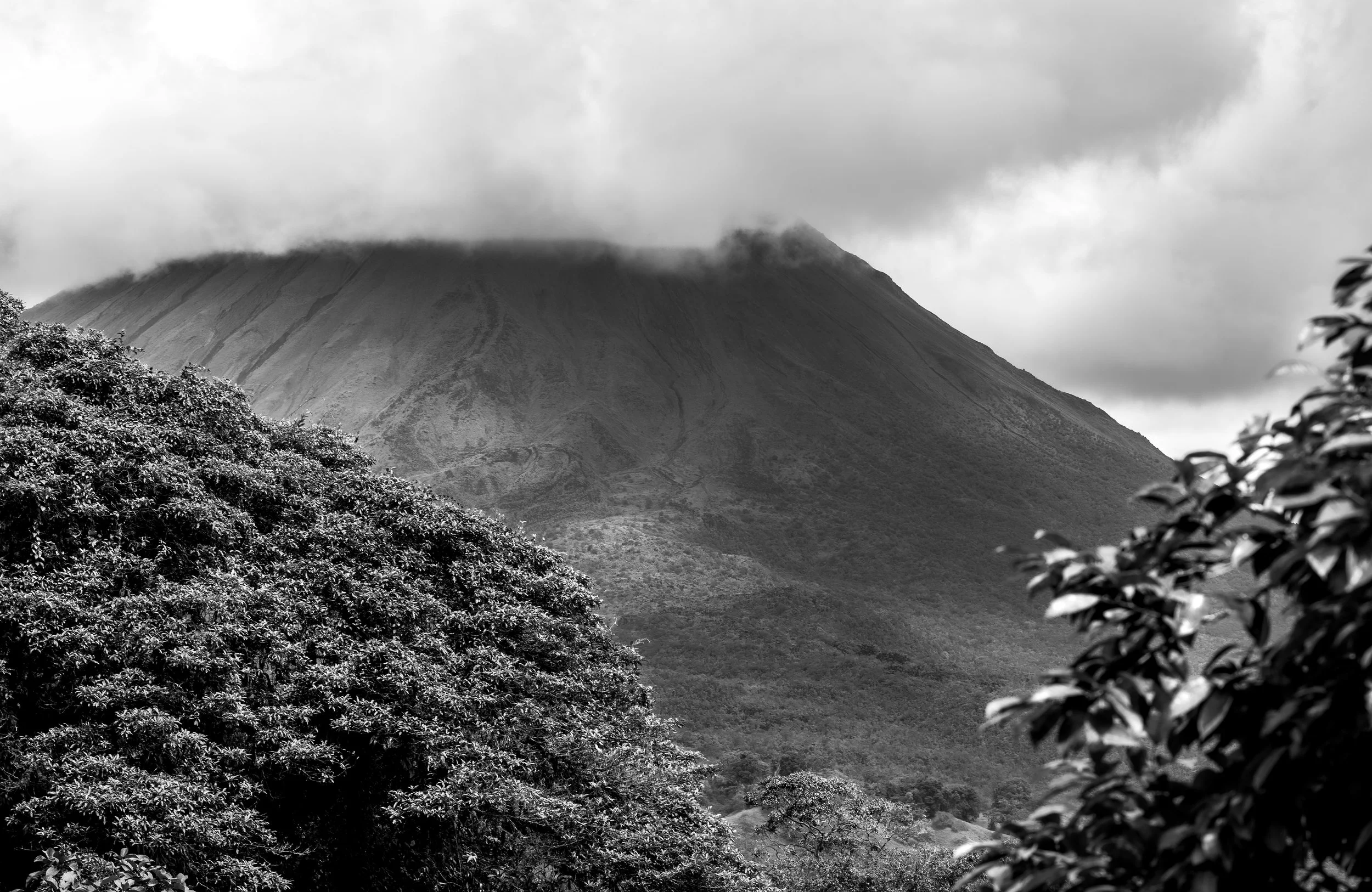 Black and White image