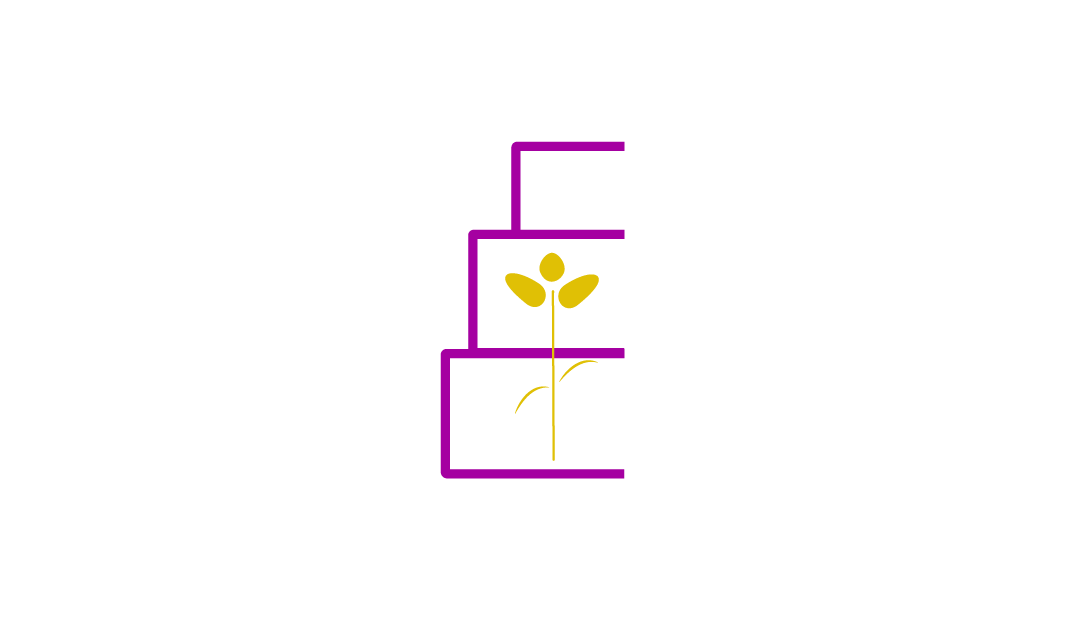 rose-valley-cake.png