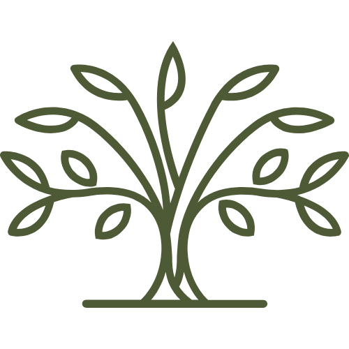 Simple line drawing of a tree with multiple branches and leaves.