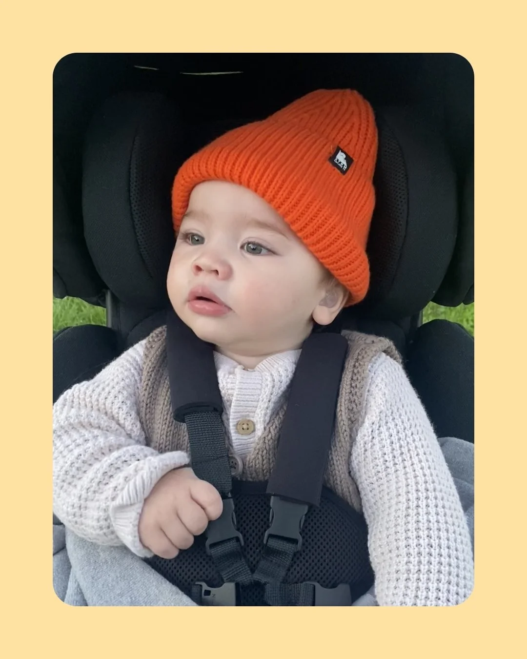 He apakura te tangi,
He roimata te rere.
Ko te parekawakawa te tohu,
He aitua, he aitua, he aitua.

Our darling Mika Maire Conning passed away peacefully on 22 March 2026, in our arms, at home, surrounded by love.

Mika was diagnosed with ECHS1 Defic