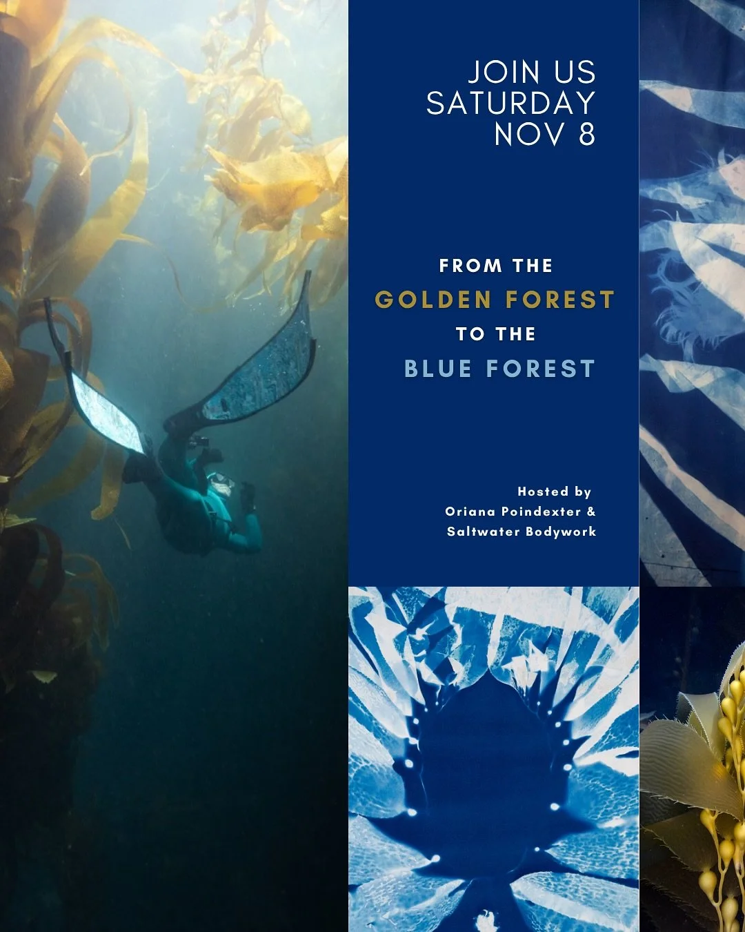 Calling all kelp people!🌿

You&rsquo;re invited to an afternoon of celebrating the kelp forests of Catalina! Join Saltwater Bodywork&rsquo;s @graciousmermaid (and @opoindex) for a snorkel or freedive, followed by the opening reception for Oriana Poi