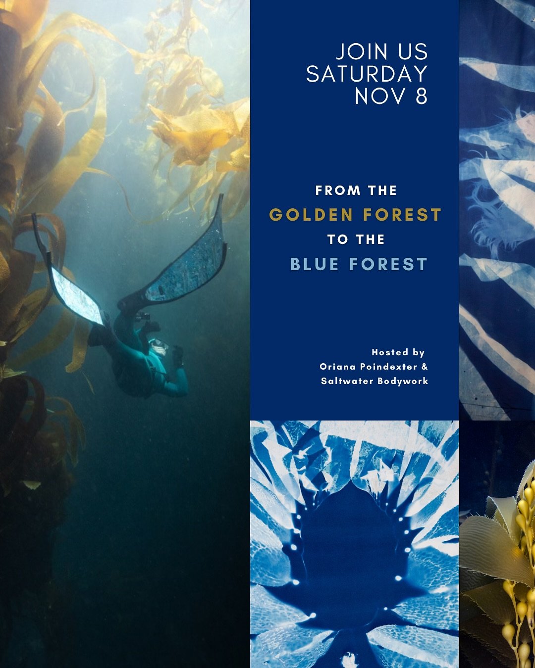 Calling all kelp people!🌿

You&rsquo;re invited to an afternoon of celebrating the kelp forests of Catalina! Join Saltwater Bodywork&rsquo;s @graciousmermaid (and @opoindex) for a snorkel or freedive, followed by the opening reception for Oriana Poi