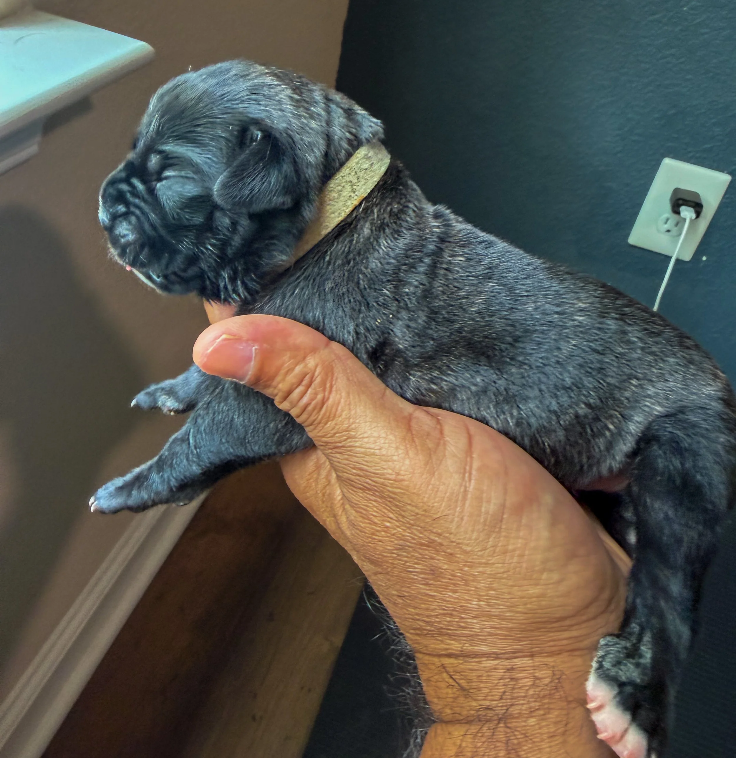  NOT AVAILABLE MALE