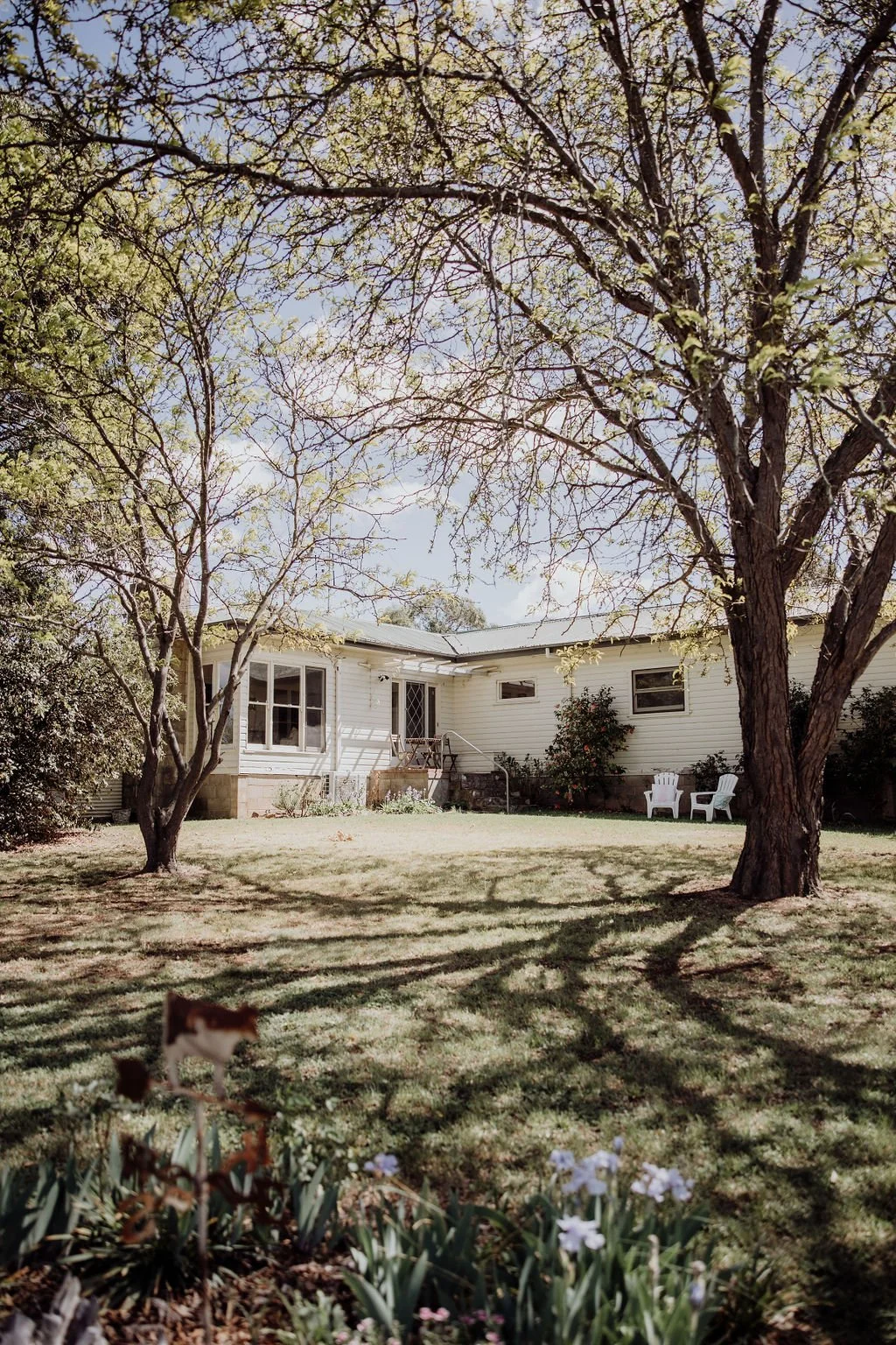 A country garden with a white farmhouse, large trees, a grassy lawn, two white chairs, and some flowers in the foreground.