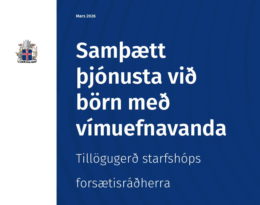 Þegar skýrsla stjórnvalda staðfestir brotakennt kerfi, en hvað svo?