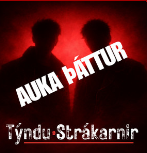 AUKAÞÁTTUR: Bruninn á Stuðlum og stjórnkerfið