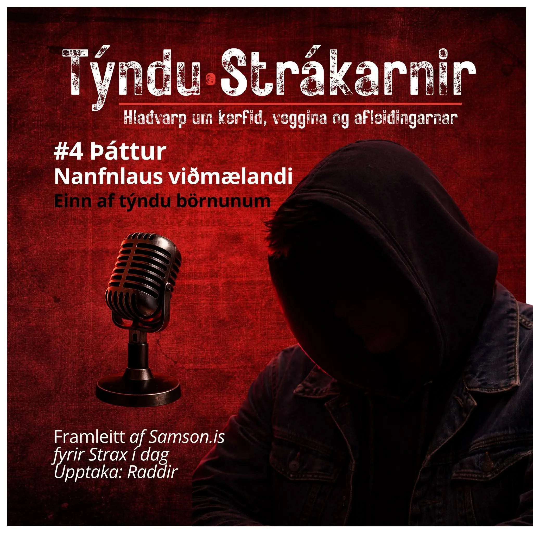 Þáttur #4 Eitt af týndu börnunum um Stuðla, lyfin og kerfi sem brást