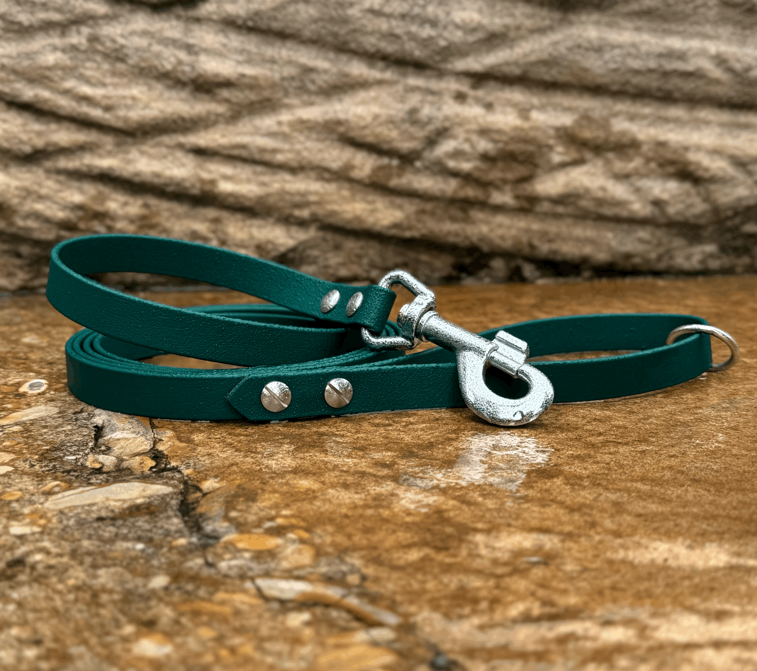 Green BioThane dog leash with metal clasp lying on a stone surface.