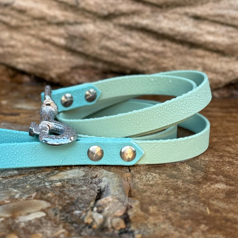 Two-Tone Everyday Leash (150cm)