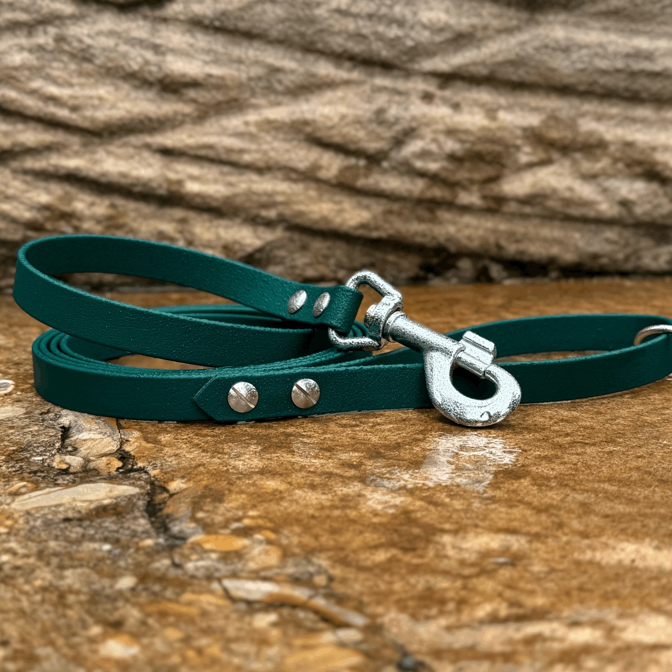 Everyday Leash (120cm-180cm)