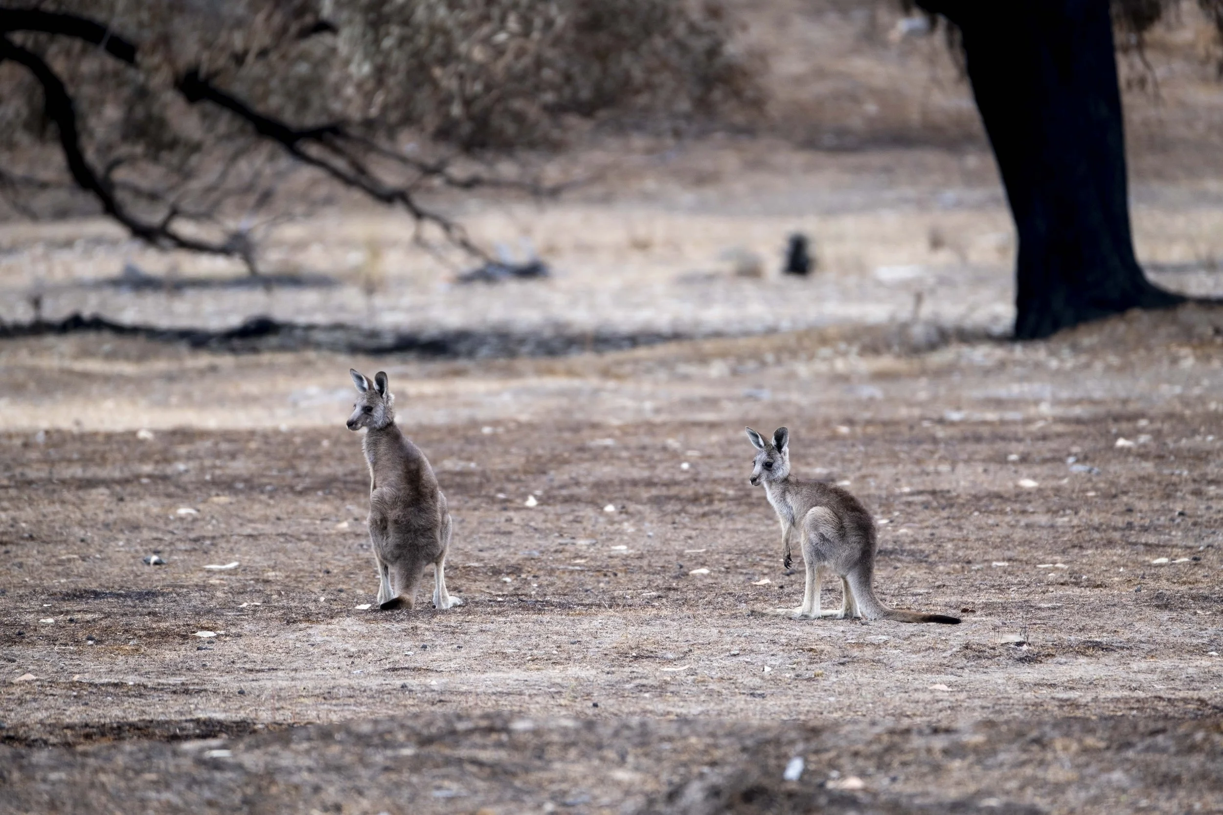 @jodie grillmeier 465.jpg