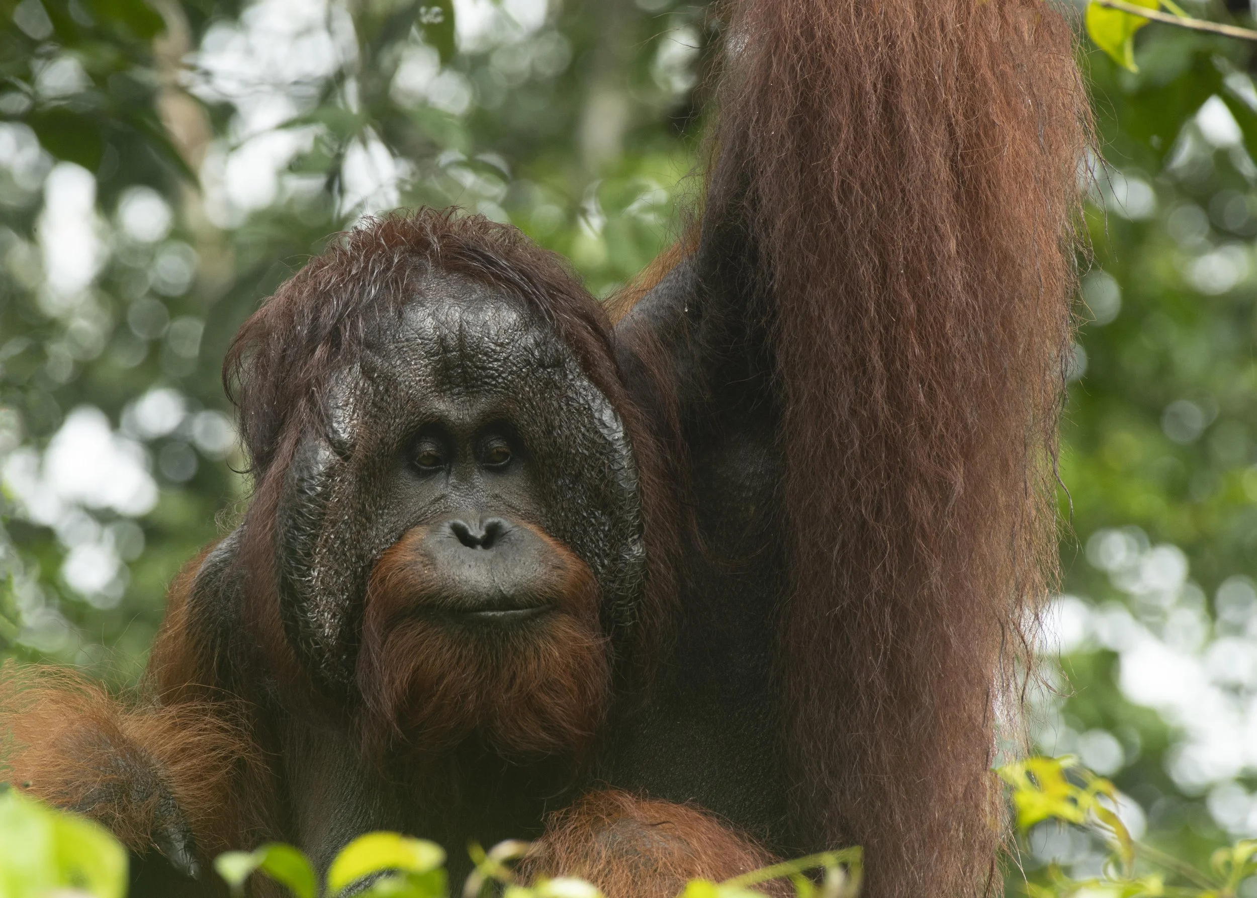 @jodie grillmeier 389.jpg