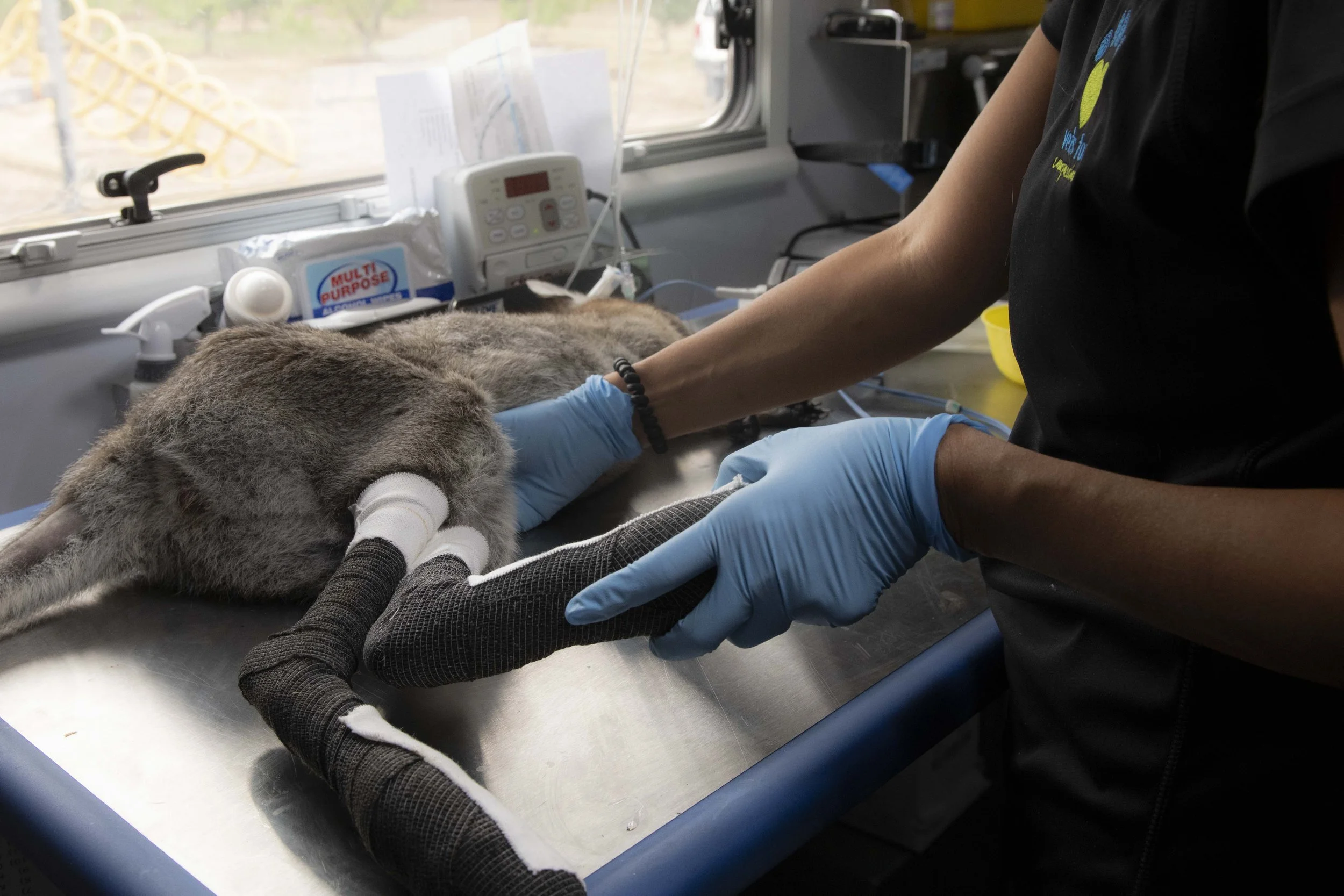 @jodie grillmeier 466.jpg