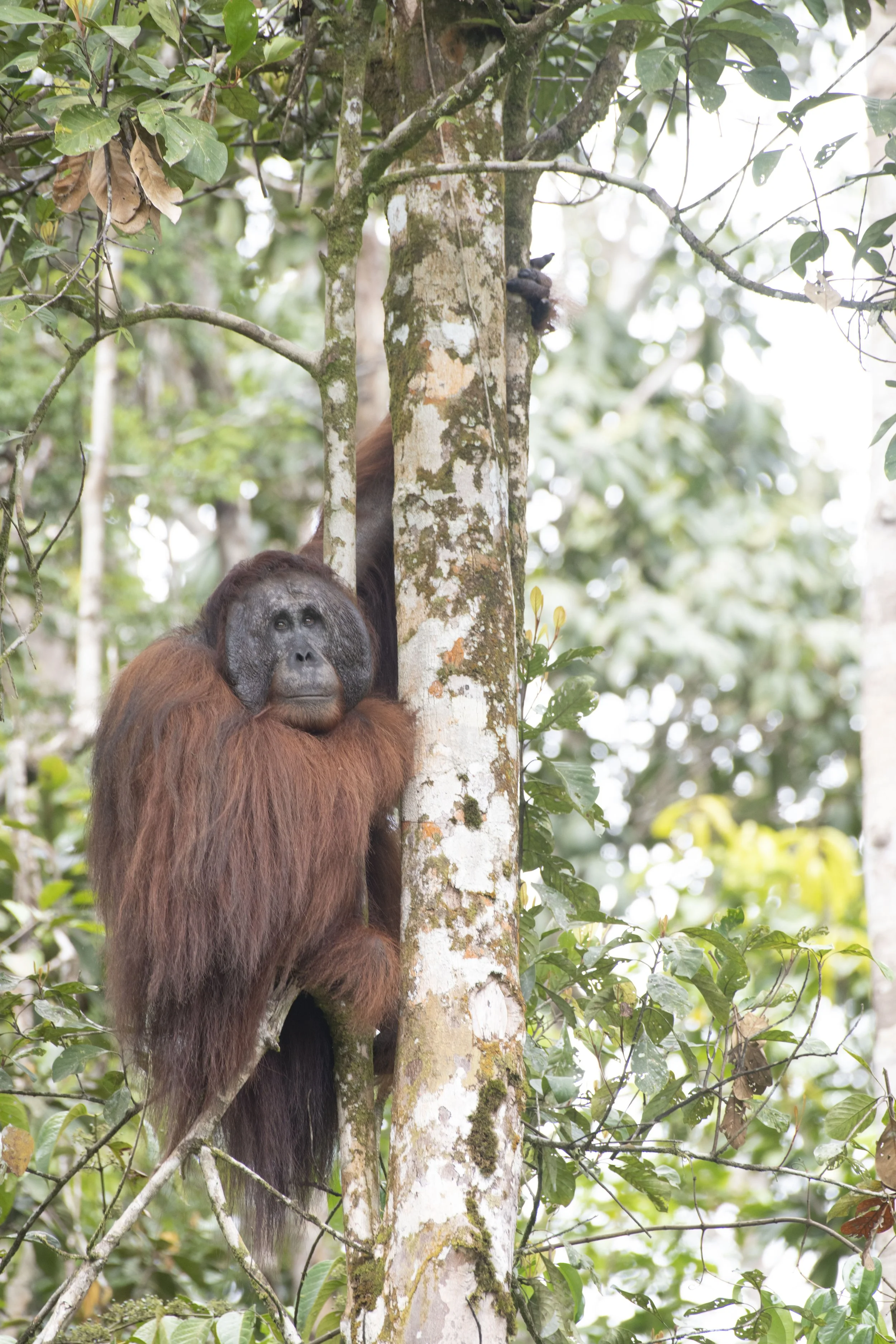 ©Jodie Grillmeier .jpg