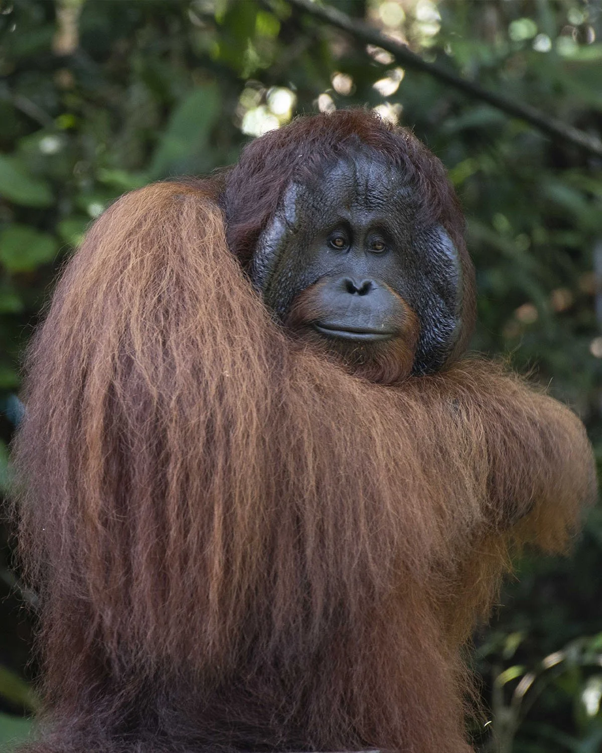 ©Jodie Grillmeier..jpg