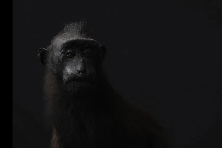 ©Jodie Grillmeier#4.jpg