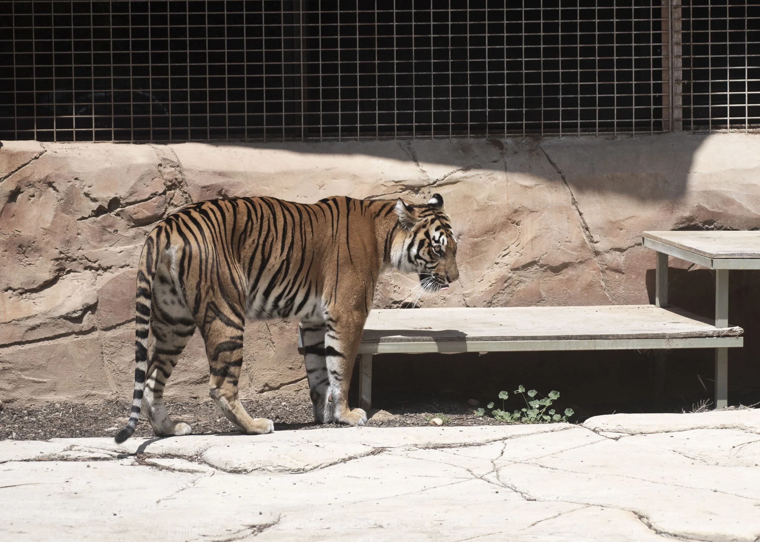 @Jodie Grillmeir .jpg