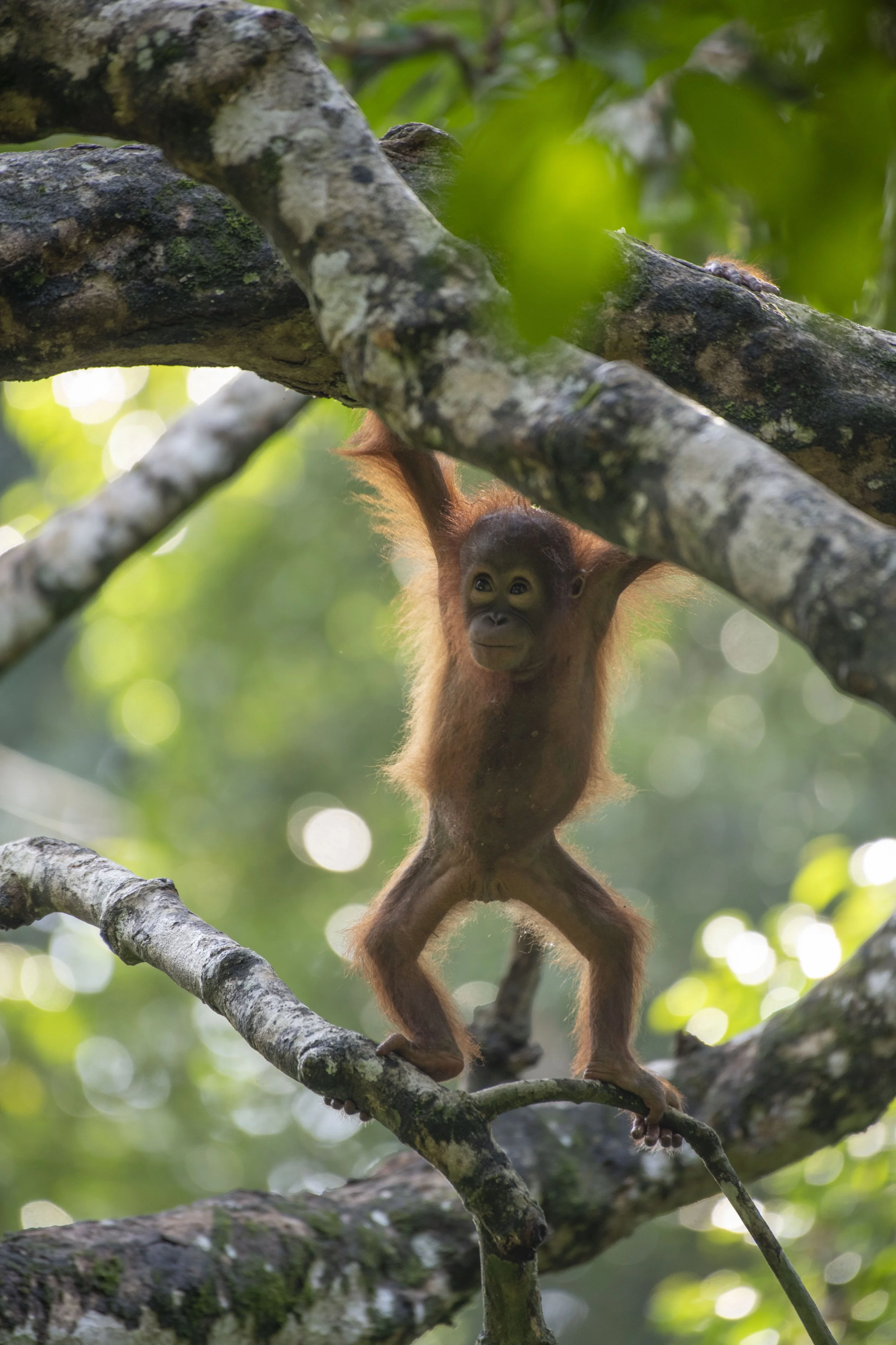 ©Jodie Grillmeier .jpg