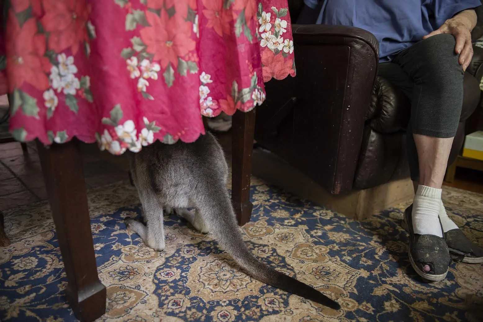 Jodie Grillmeier  4.jpg