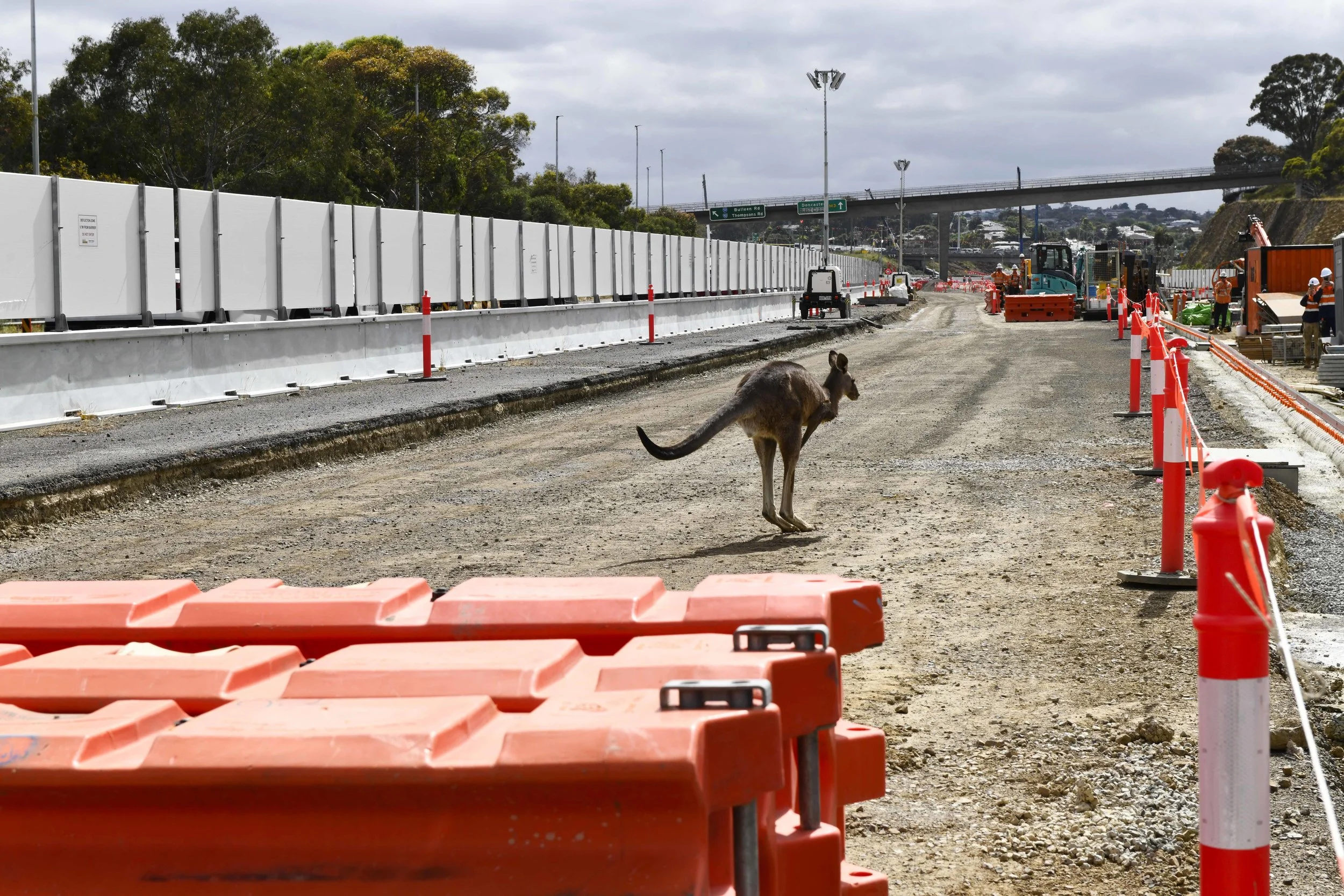 @jodie grillmeier 360.jpg